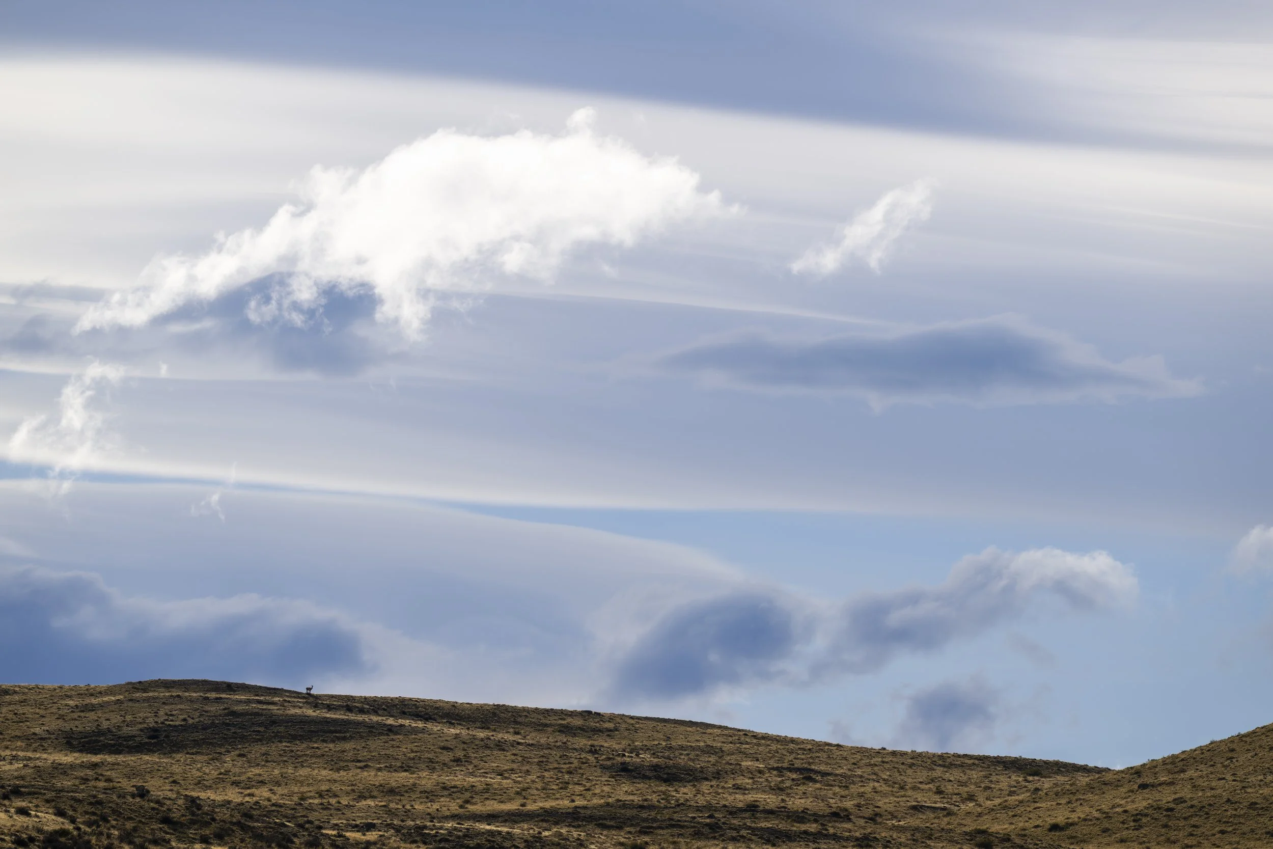 2025.03.31 I CHILE I TORRES DEL PAINE I -68.jpg
