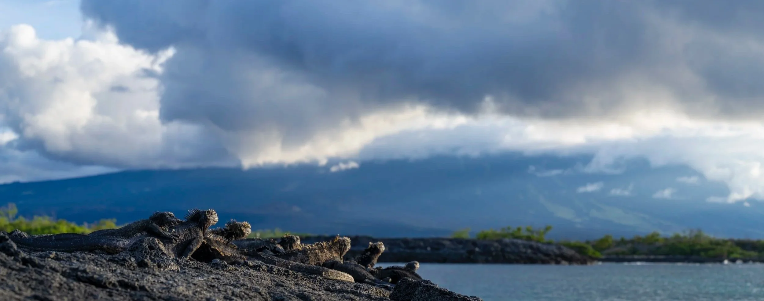 DSC_9331-Pano.jpg