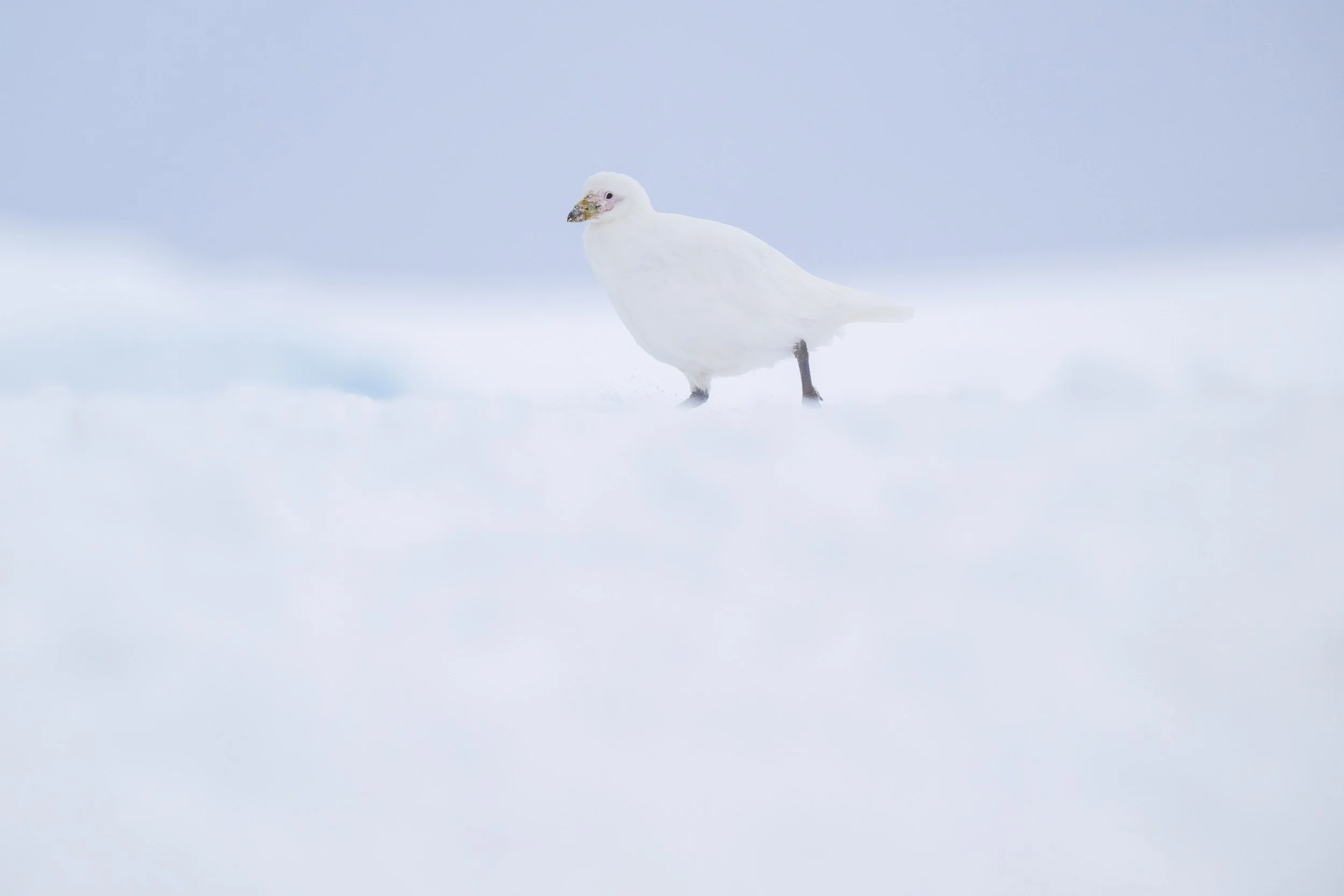 SH VEGA I 25 FEB 2025 I MIKKELSON HARBOUR-8.jpg