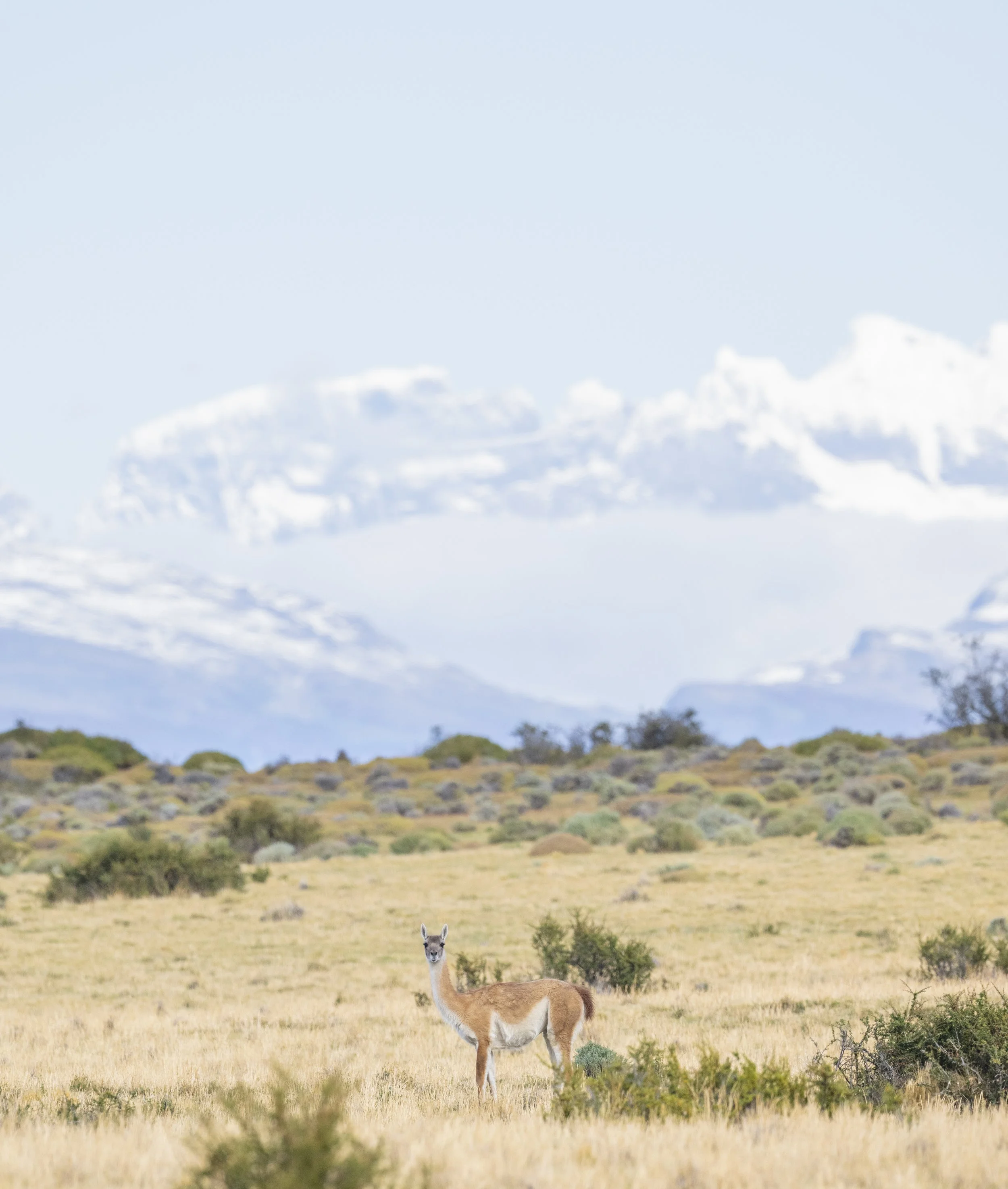 2025.03.29 I CHILE I TORRES DEL PAINE I -52.jpg