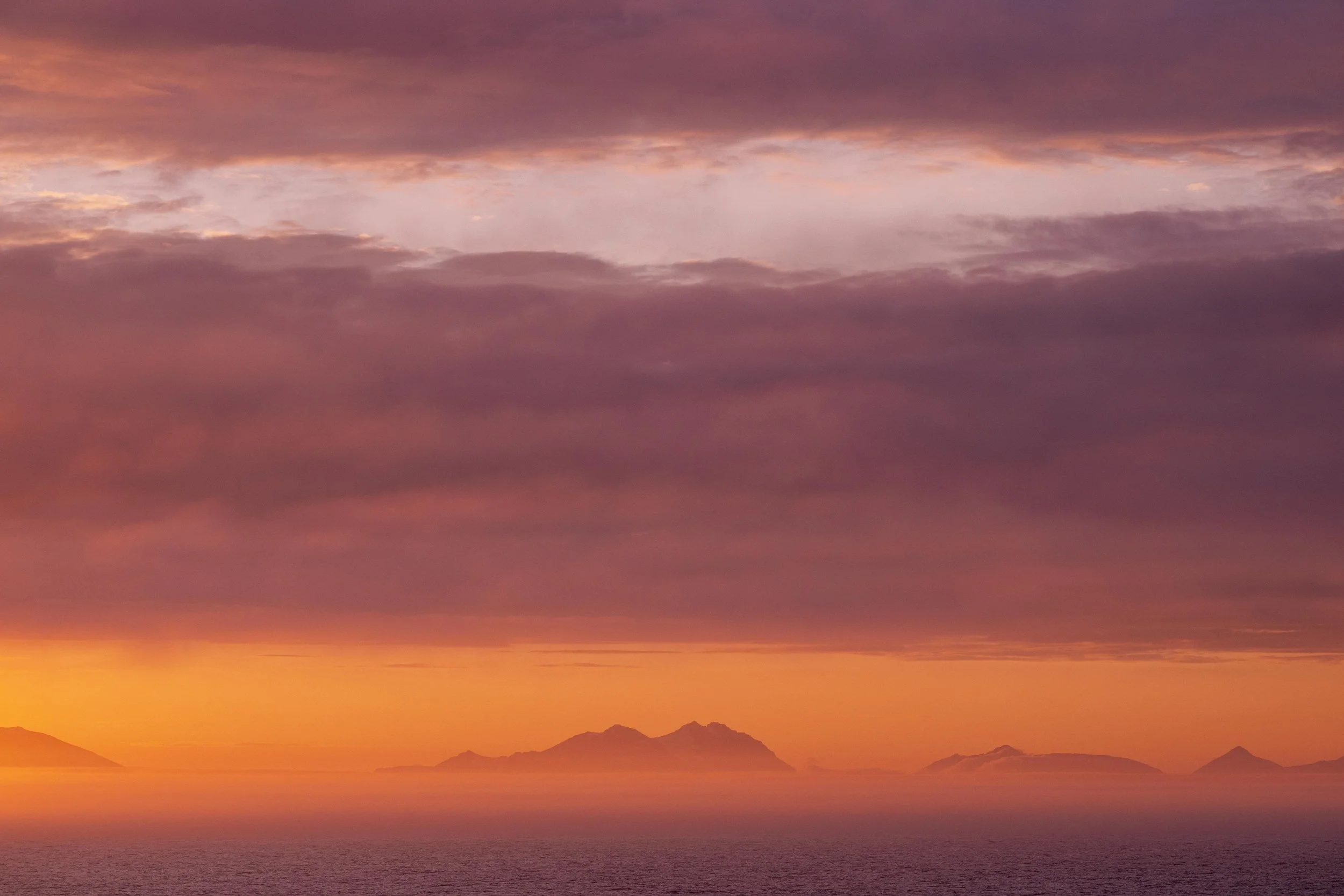 DSC_4150.jpg