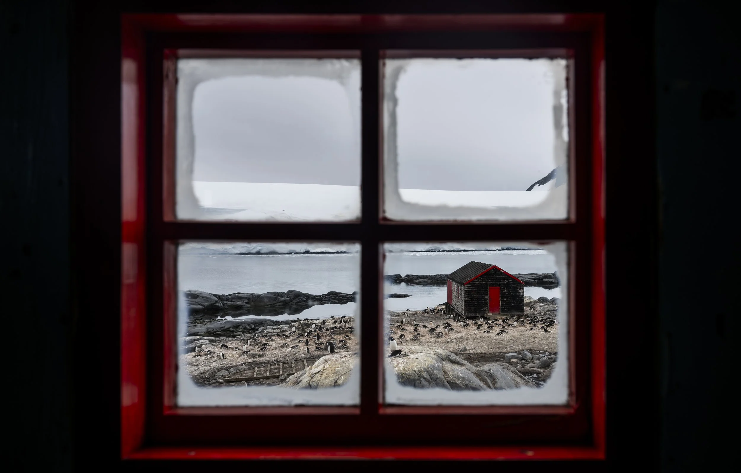 DSC_0605-5.jpg