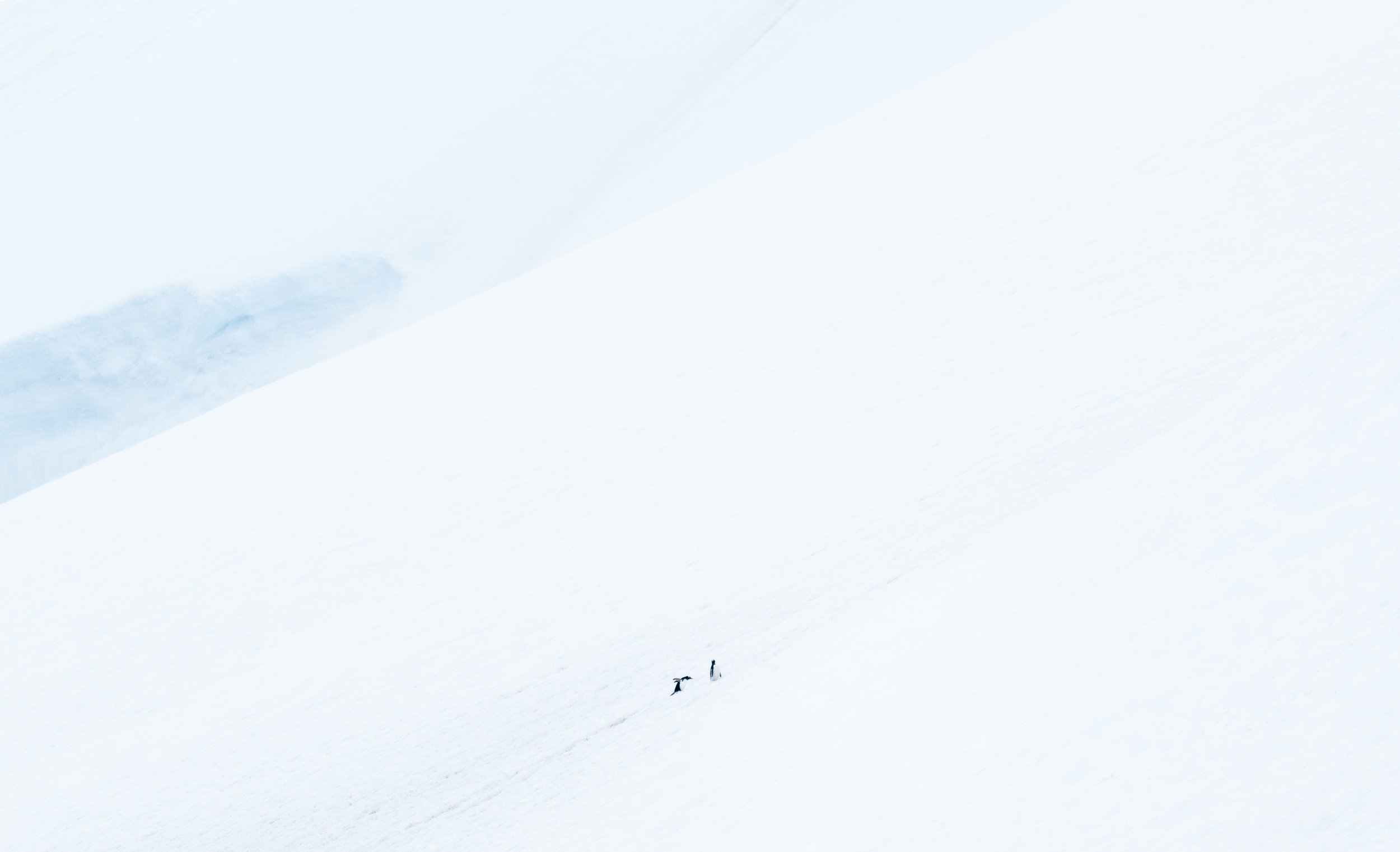 DSC_2652.jpg