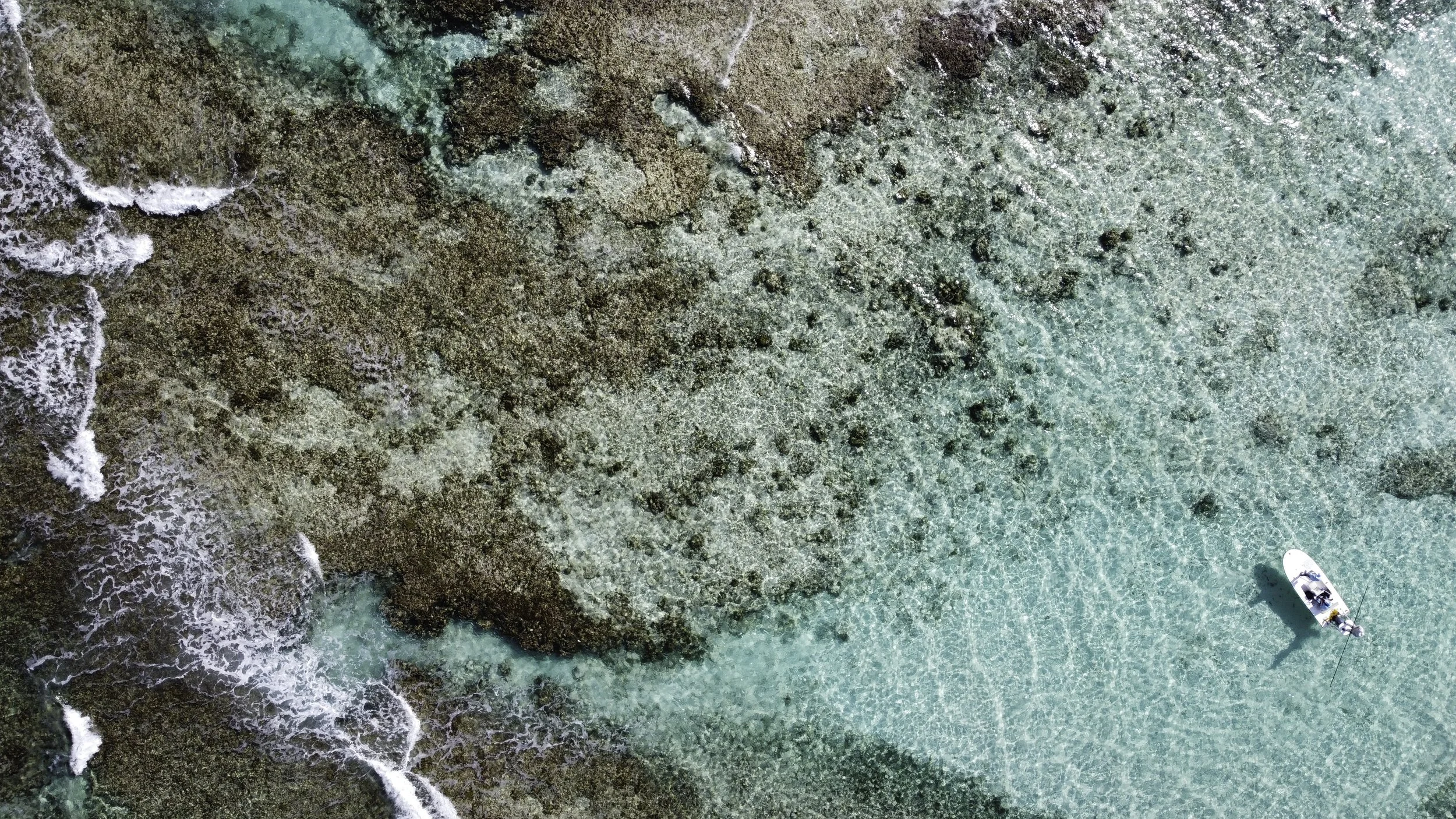 DJI_0293.jpg
