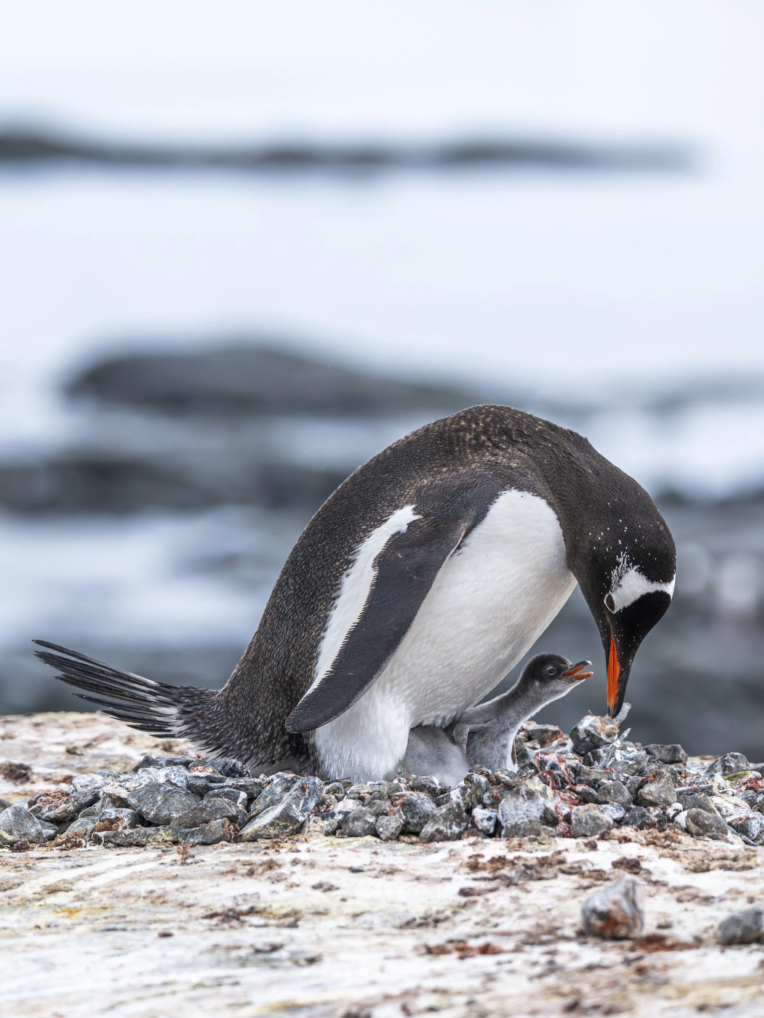 DSC_3048-2.jpg