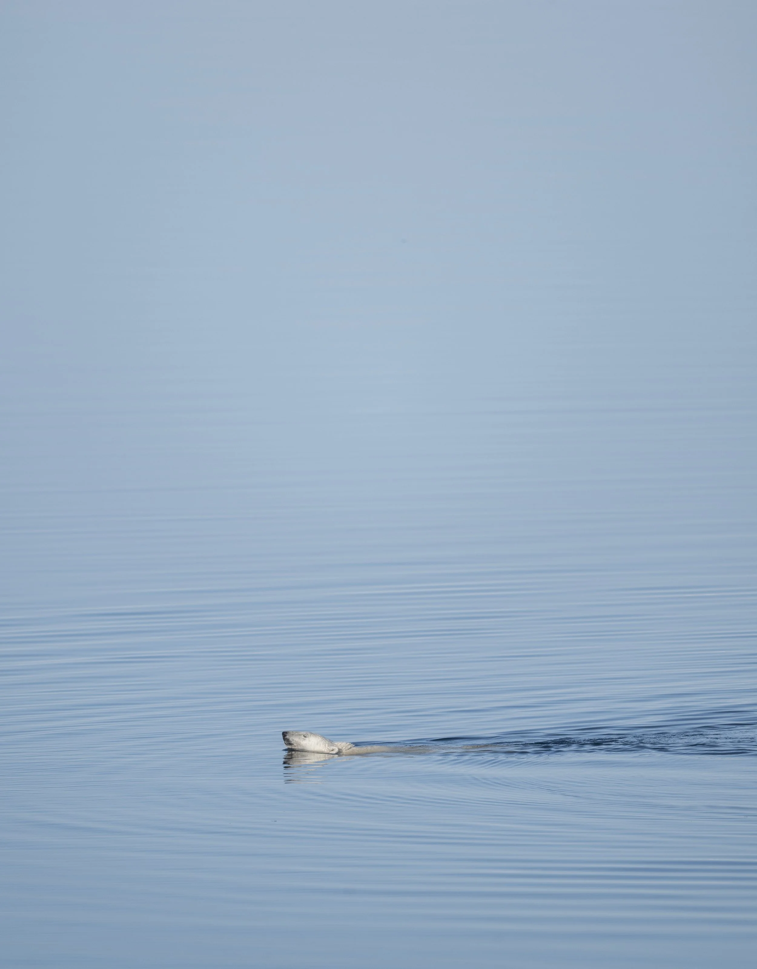 DSC_0201-3.jpg