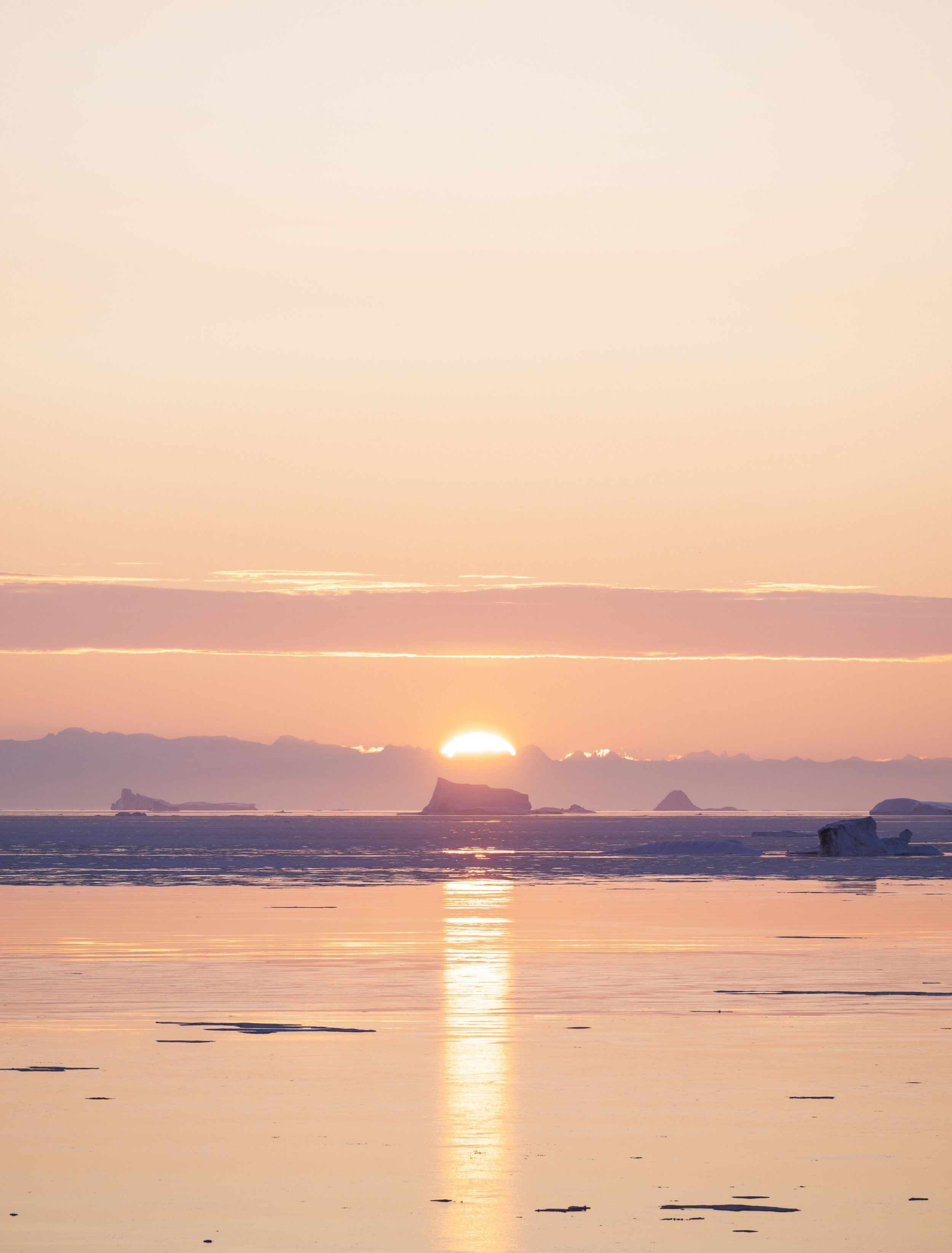 DSC_4374-2.jpg