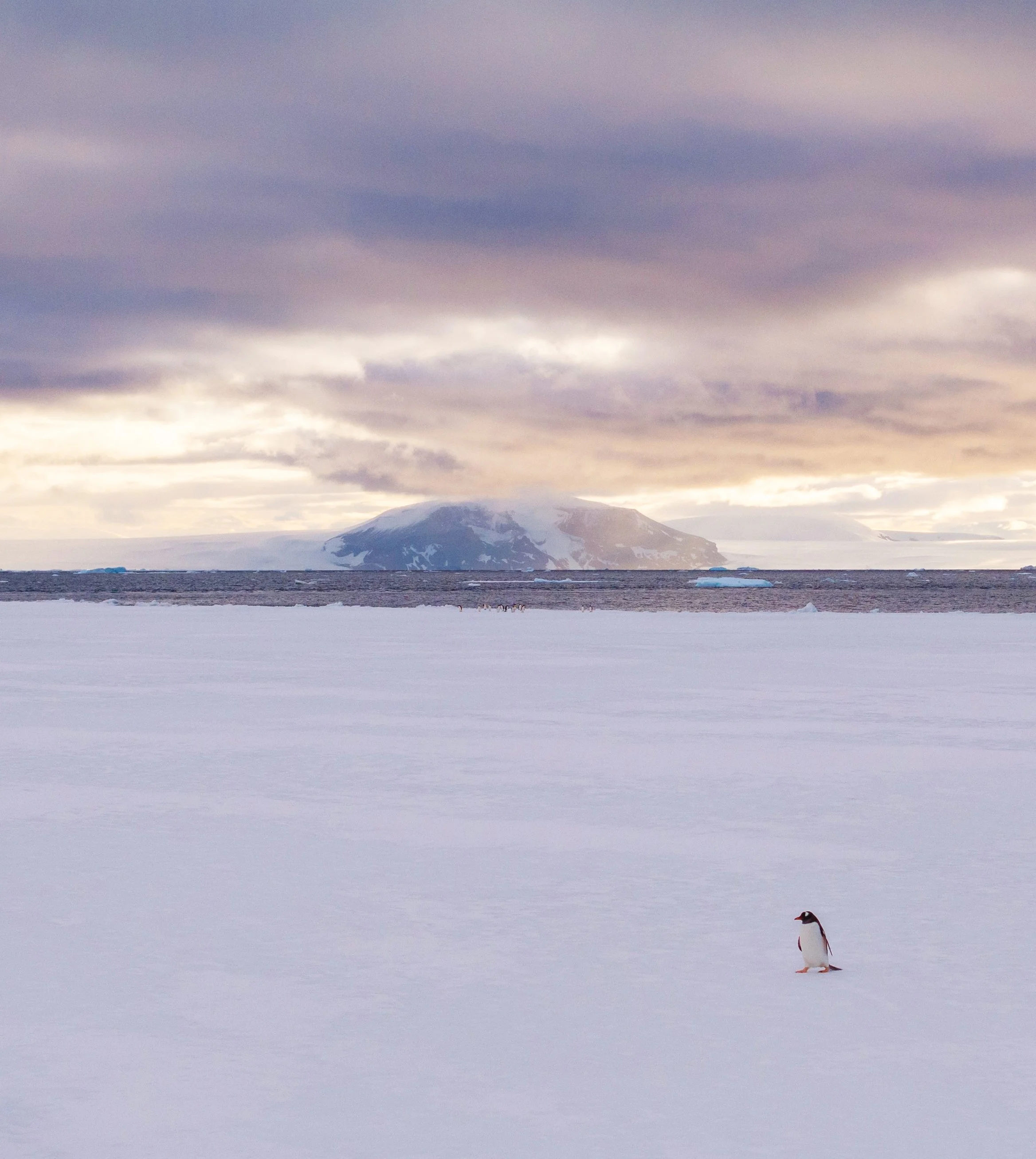 DJI_20241201223726_0128_D copy.jpg