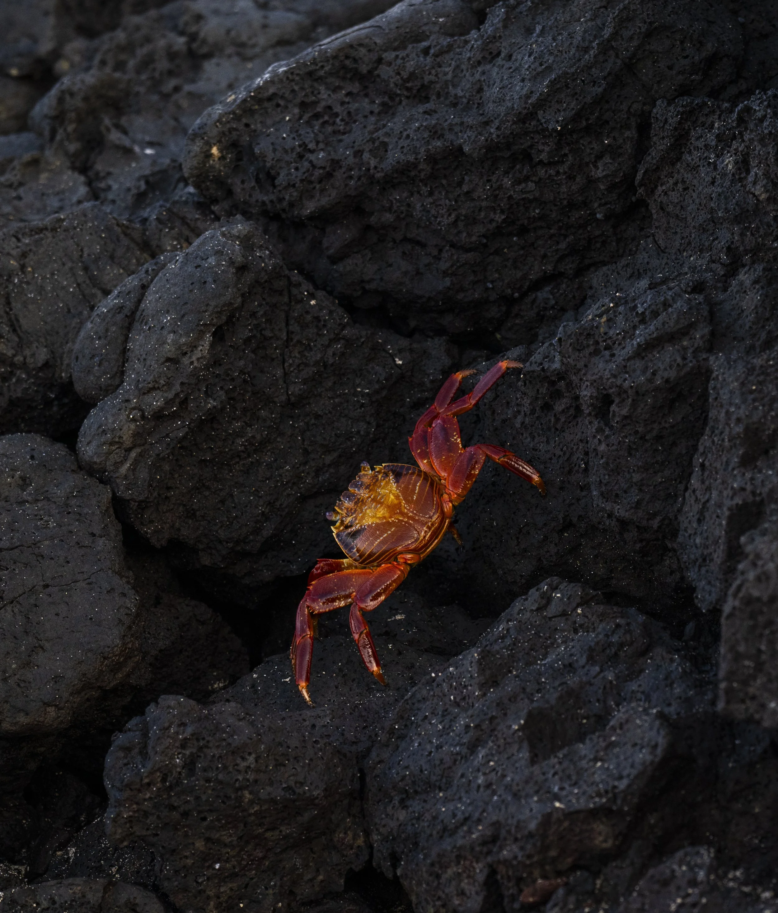 DSC_5656.jpg