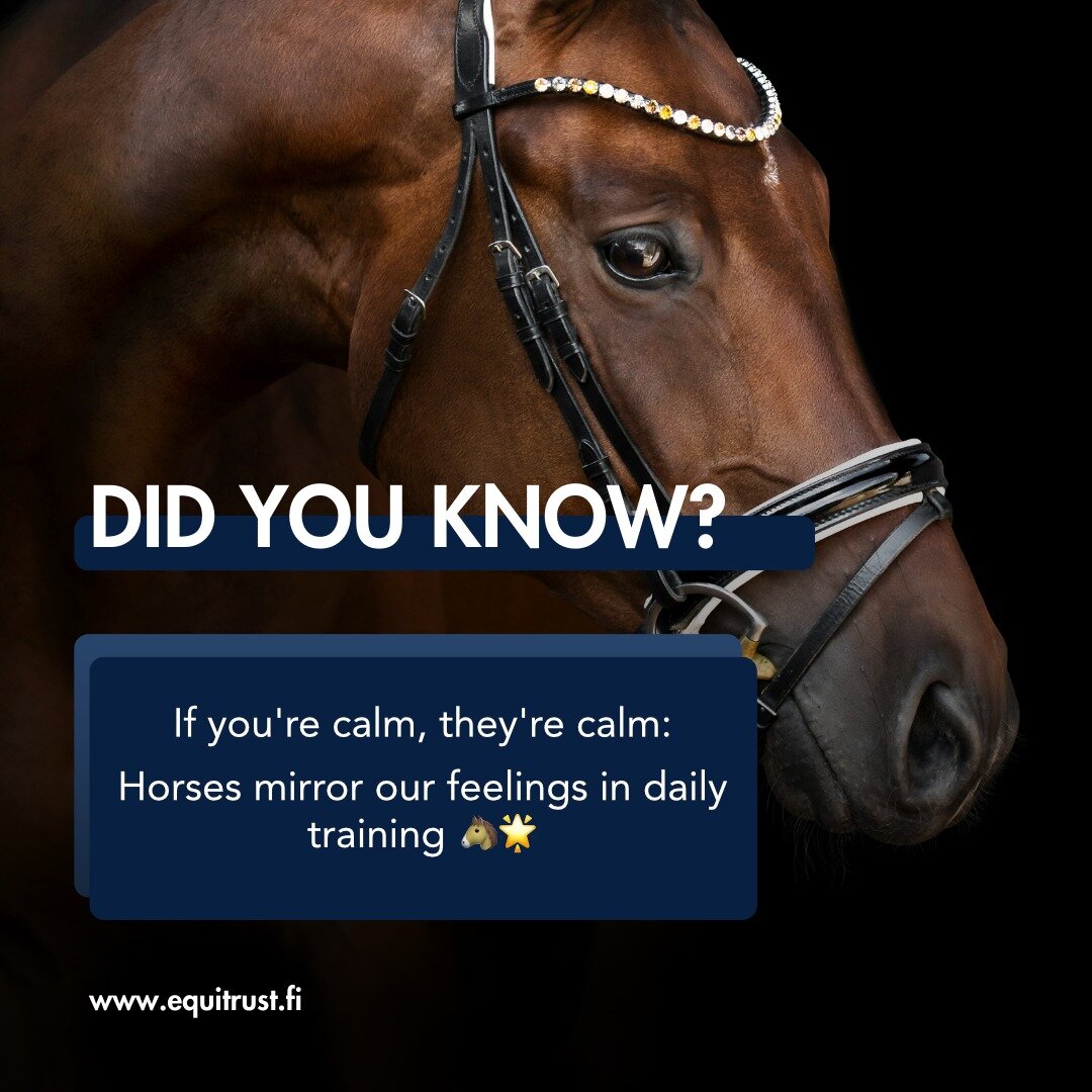 Did you know?

Horses can feel if you're stressed 😟 or calm 😌 during training.

At EquiTrust, we stay relaxed to help our horses learn better. It's all about sharing good vibes! 🐴✨ #StayCalm #HorseTraining #HappyHorses