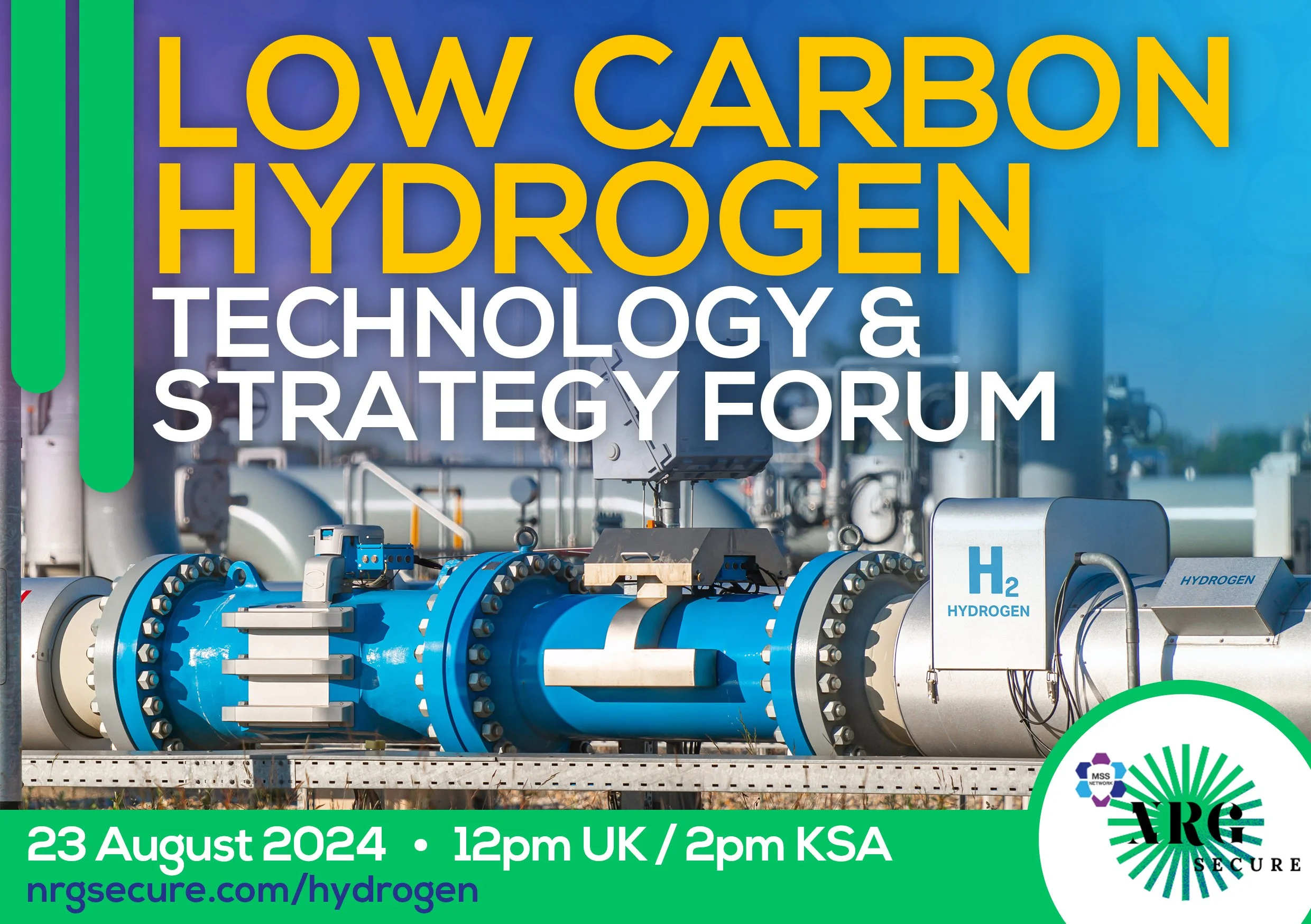 Low Carbon Hydrogen Technology _ Strategy Forum.jpg