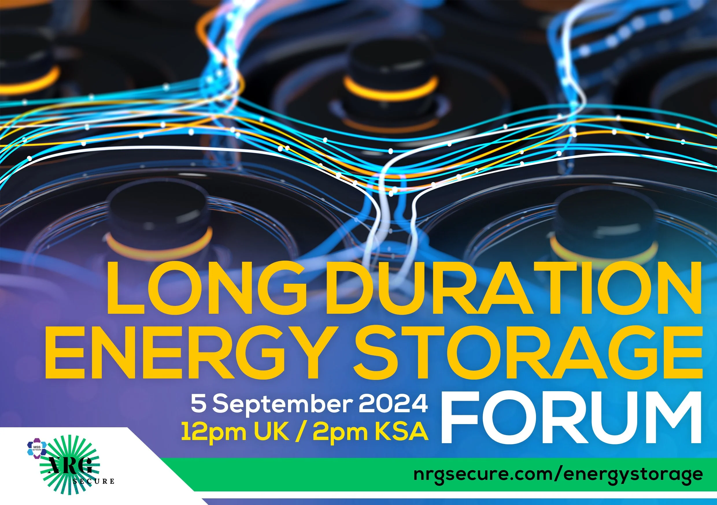 Long Duration Energy Storage Forum.jpg