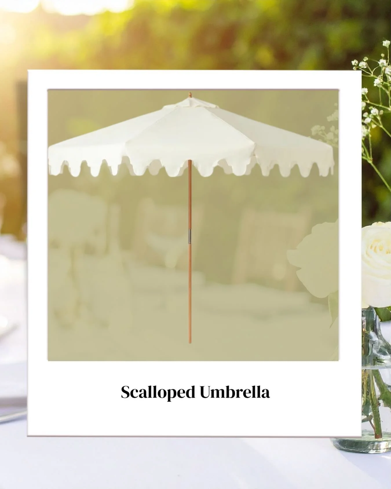 Elevate your elegance with our 3m scalloped European-inspired umbrella, showcasing a refined beechwood timber frame. Enquire now! Link in Bio