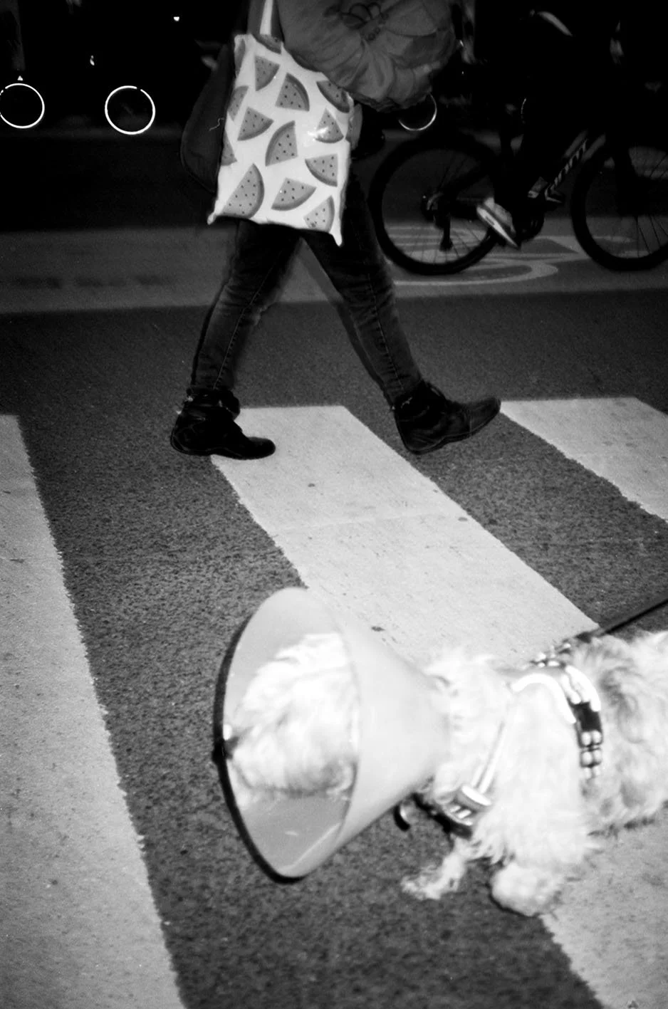 15_EDIT_STREET_20251005_58 copy.jpg