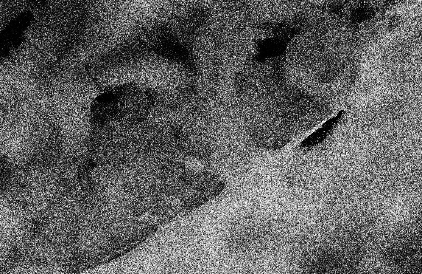 1_Liminal_20260220.jpg
