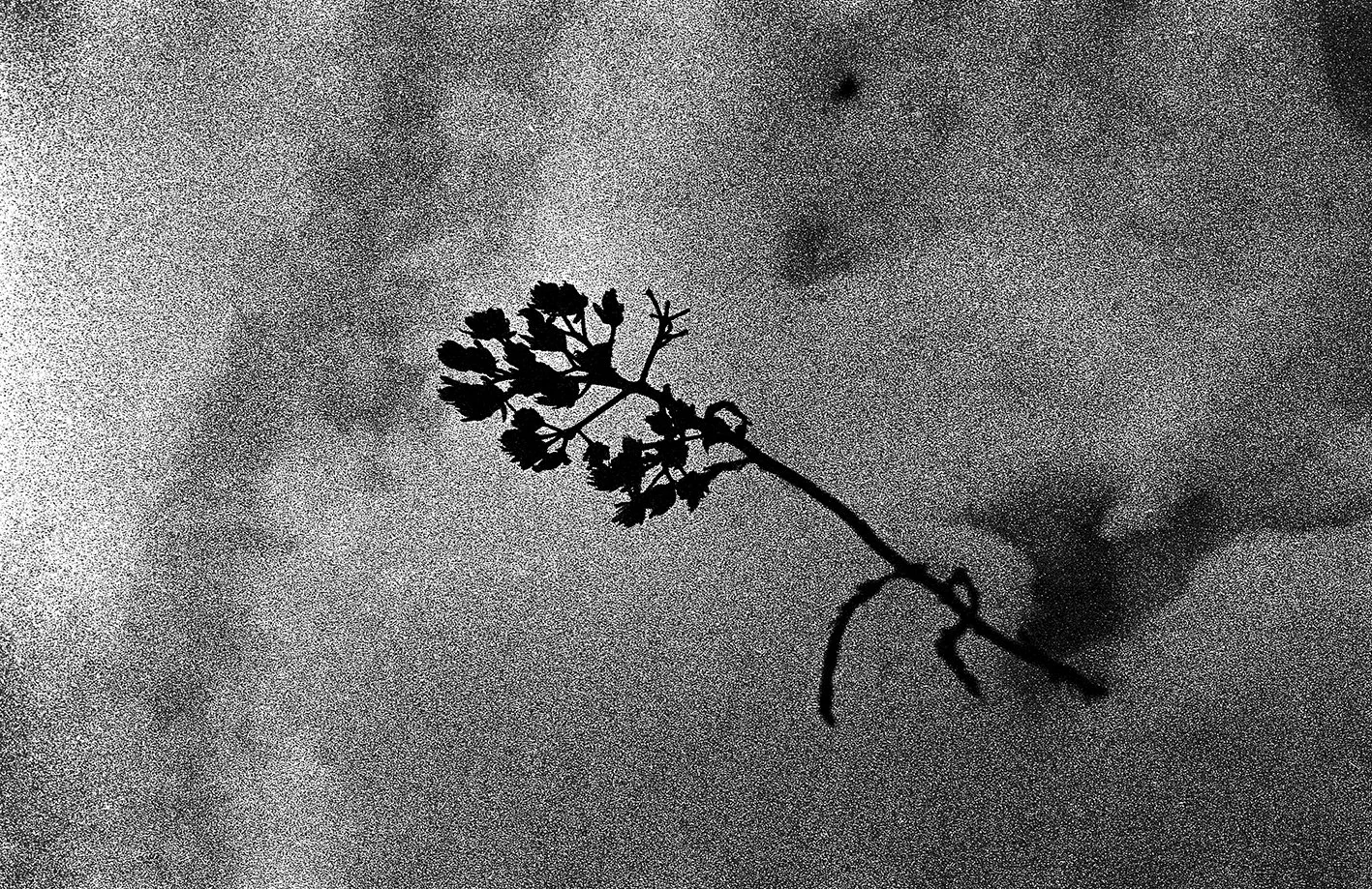3_Liminal_20260220_018.jpg