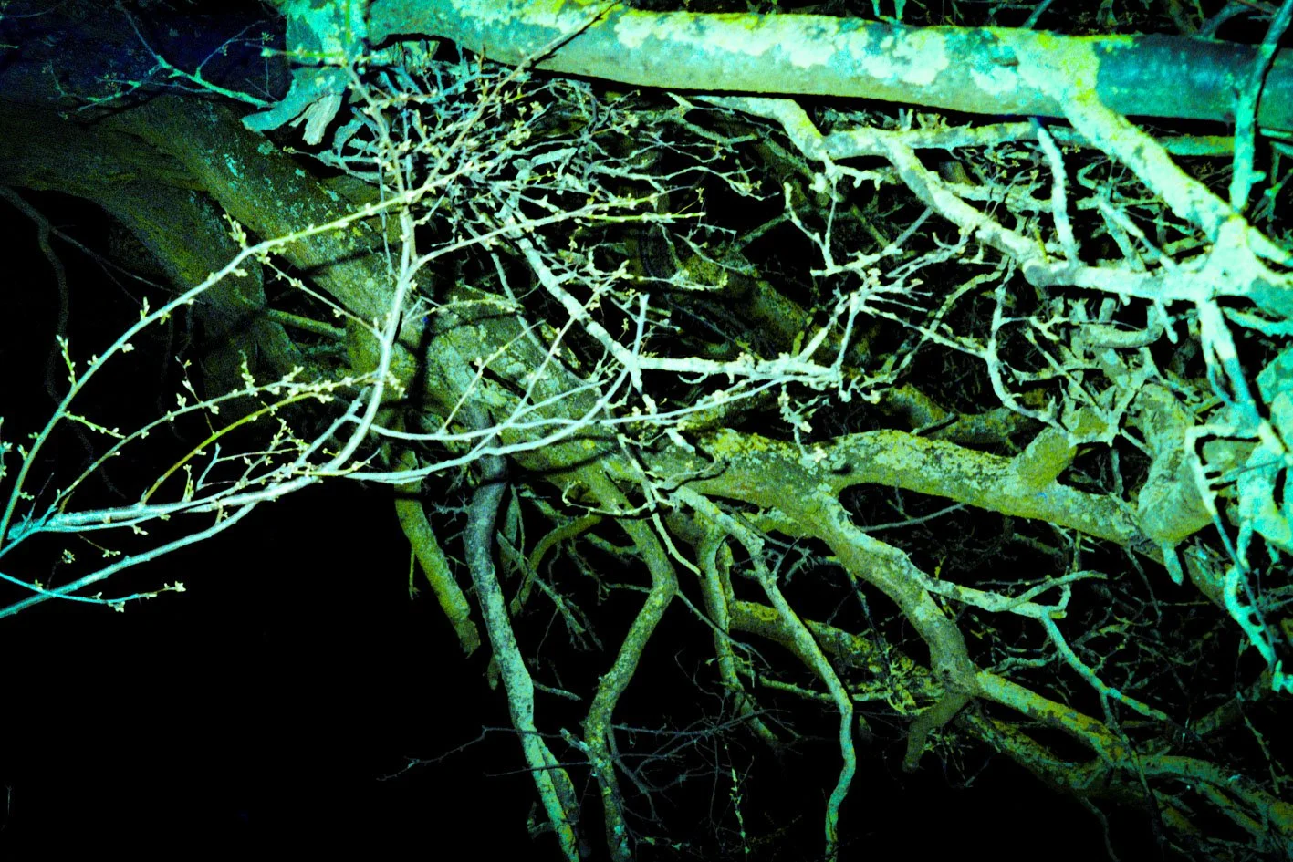 3_2026_IMAGINATION_ANALOG_20260319_075_FINAL_40.jpg