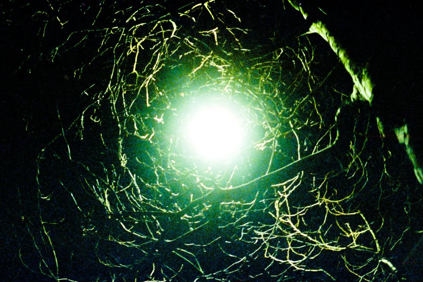 10_IMAGINATION_RESCAN_20260324_009_FINAL_40.jpg