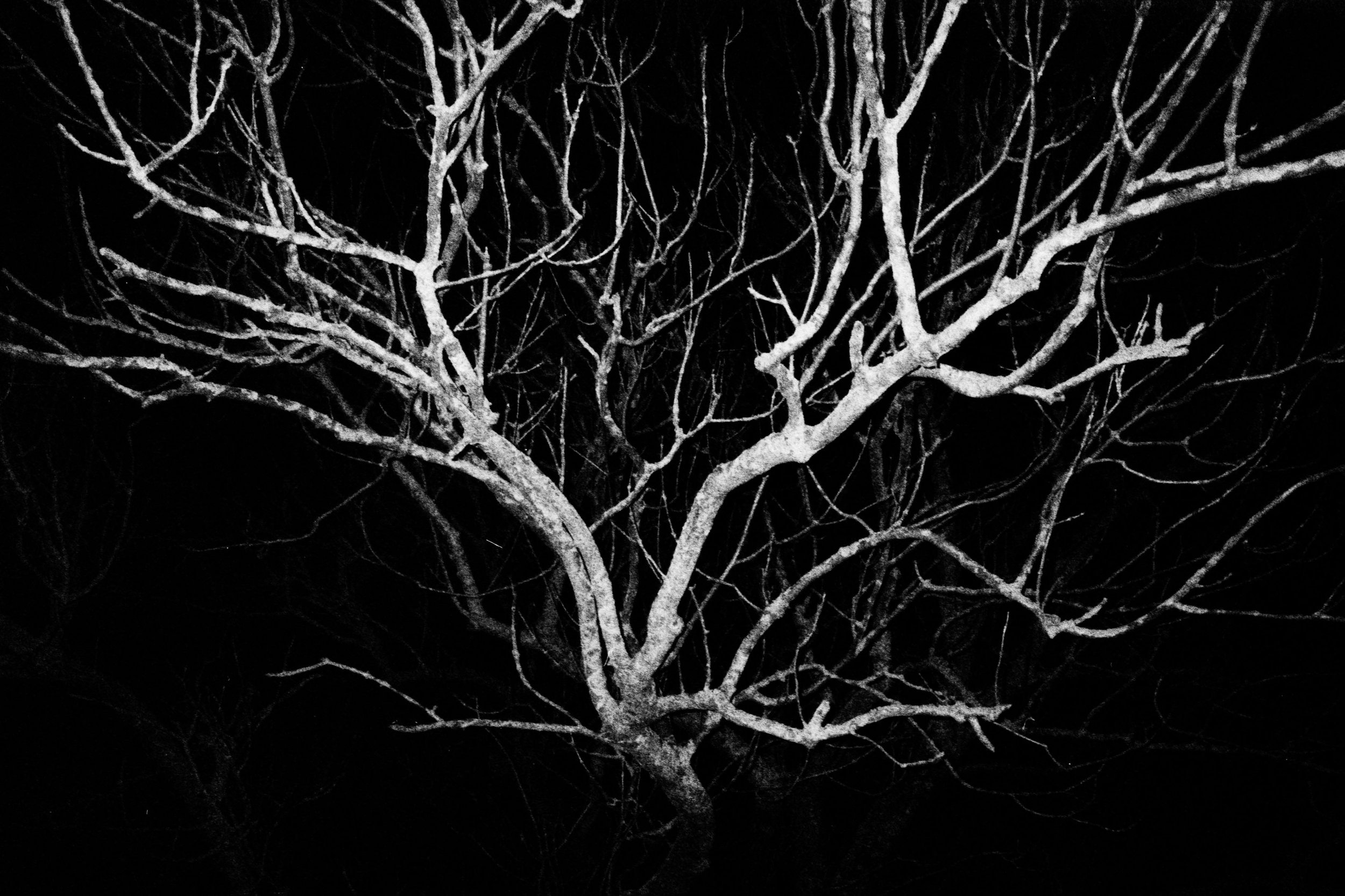 11_IMAGINATION_20260323_137_FINAL_40.jpg