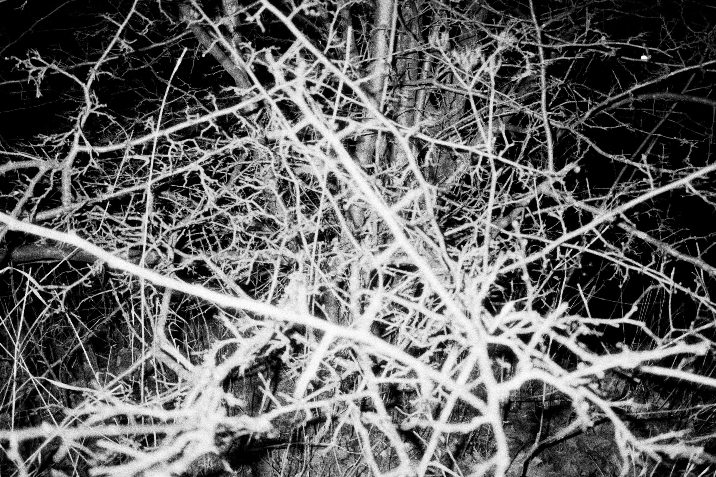 IMAGINATION_20260323_129_FINAL_27.jpg