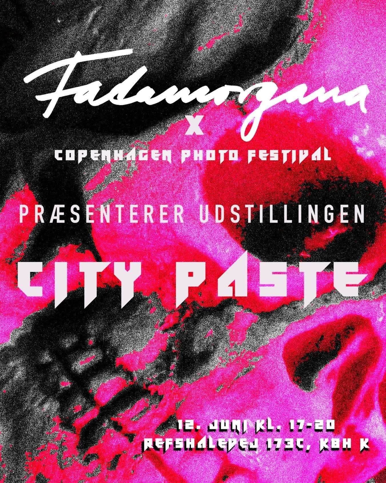 Fatamorgana på Copenhagen Photo Festival, refshaleøen