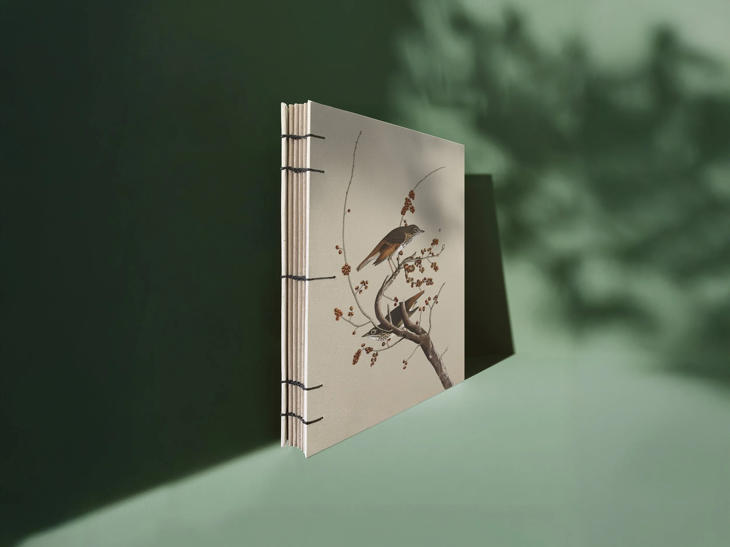 echobook_mockup_buchbinde-set__0003_mockup_buchbinde-set_buch_hermitthrush.jpg