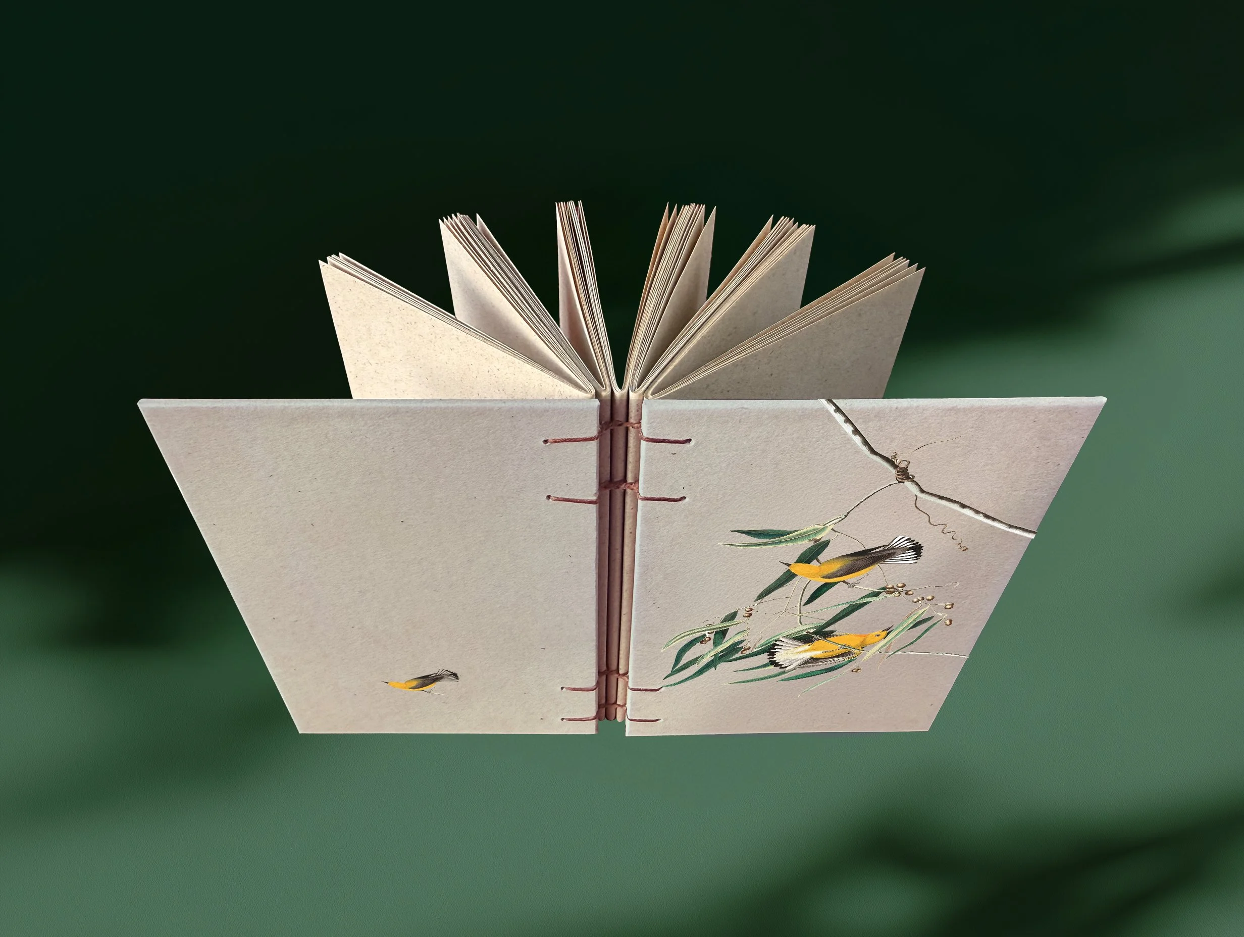 echobook_prothonotary.jpg