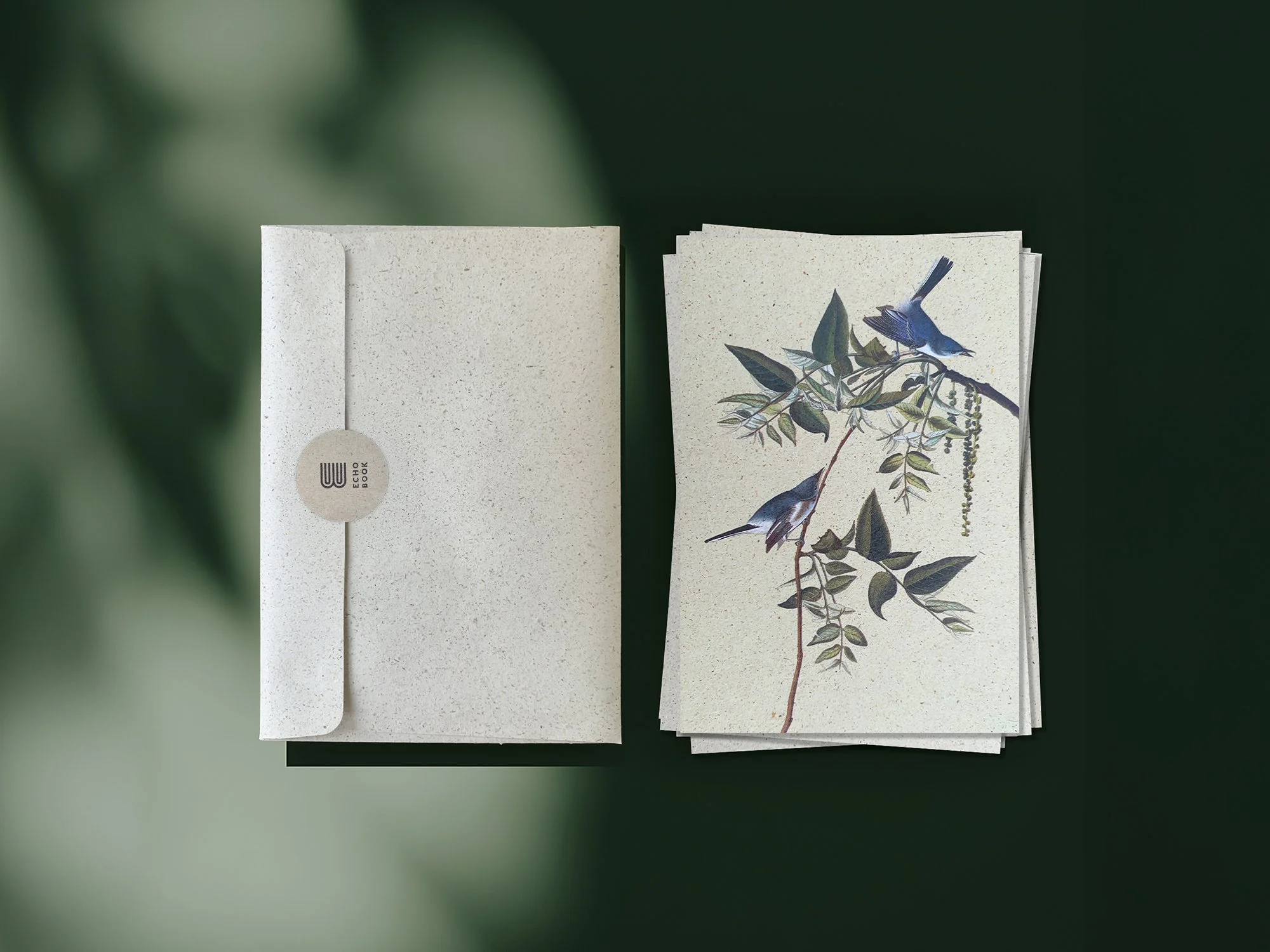 echobook_postcard_A_5.jpg
