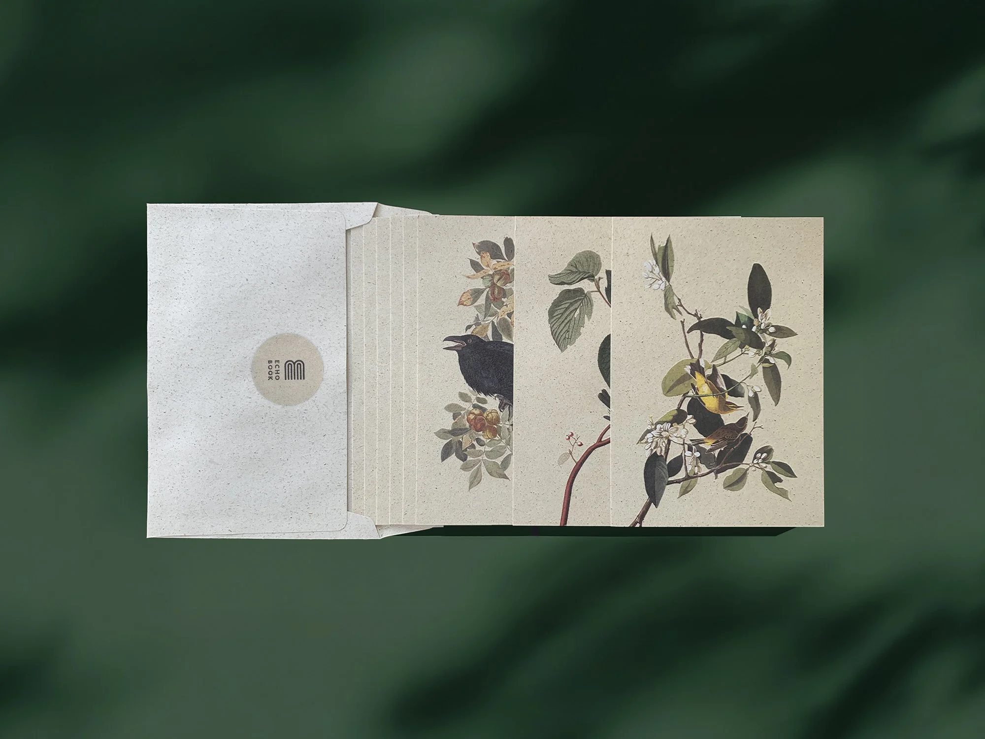 echobook_postcard_B_1.jpg