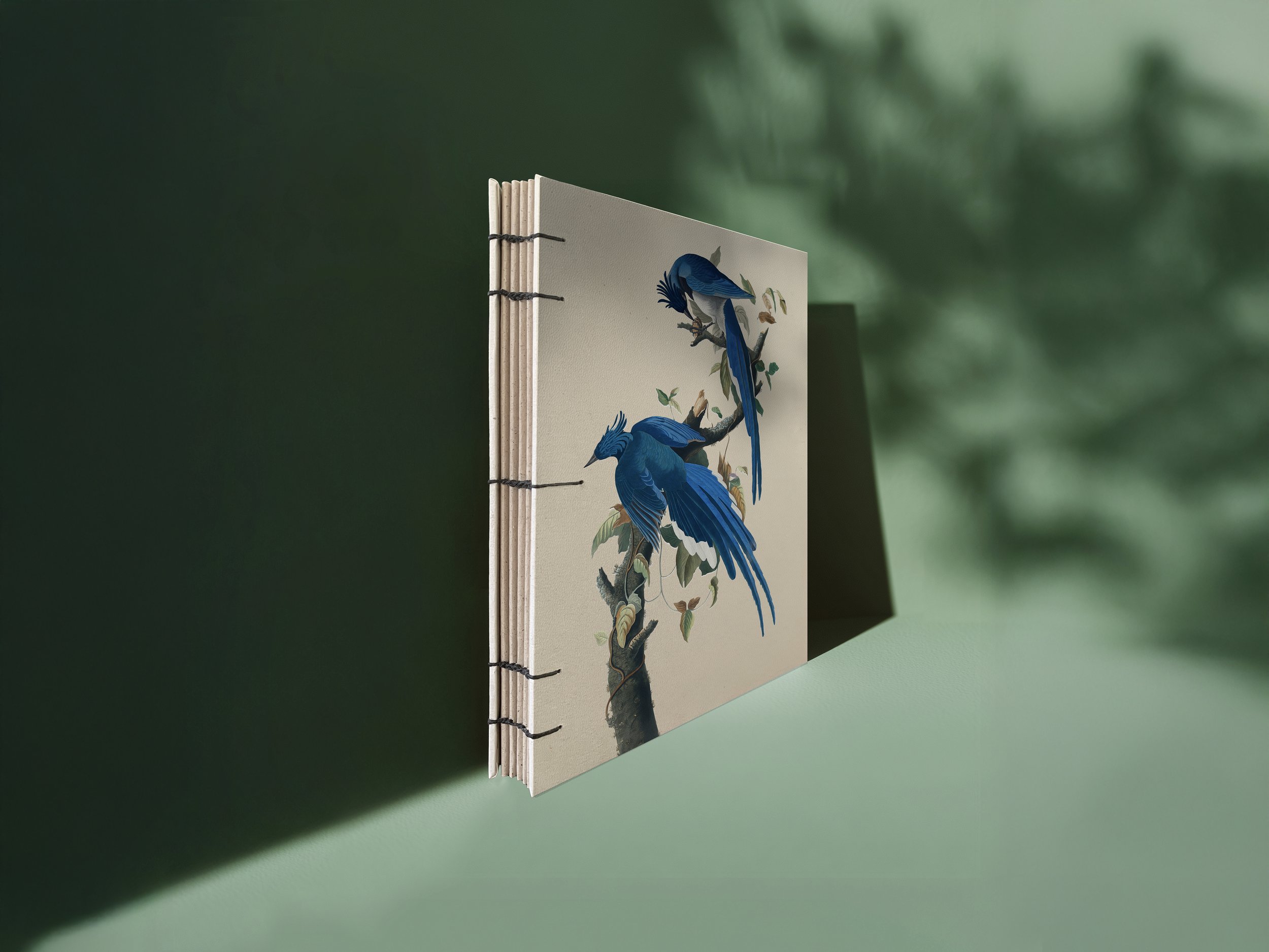echobook_mockup_buchbinde-set__0006_mockup_buchbinde-set_buch_columbiajay.jpg