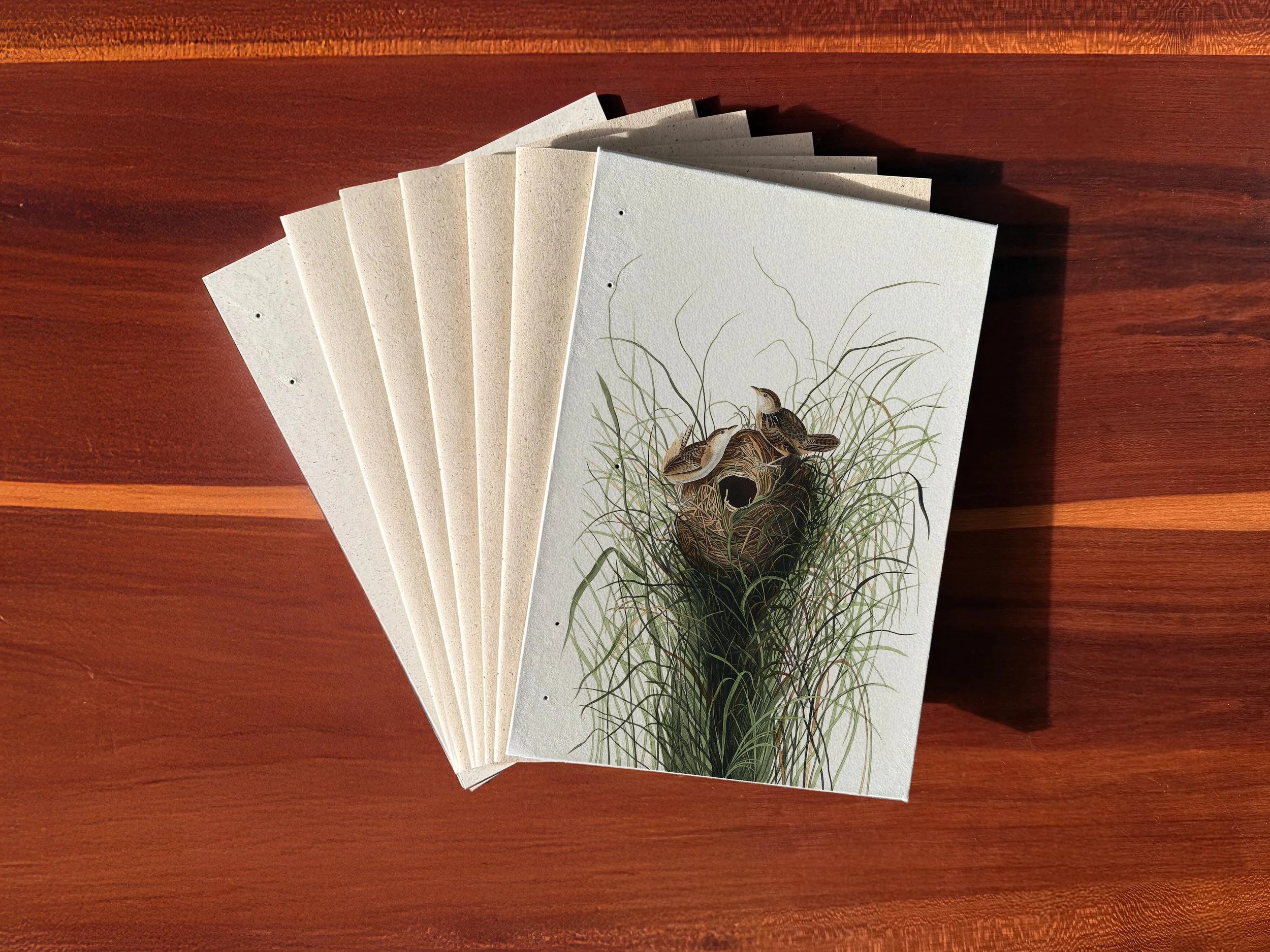 echobook_mockup_buchbinde-set_nuttals.jpg