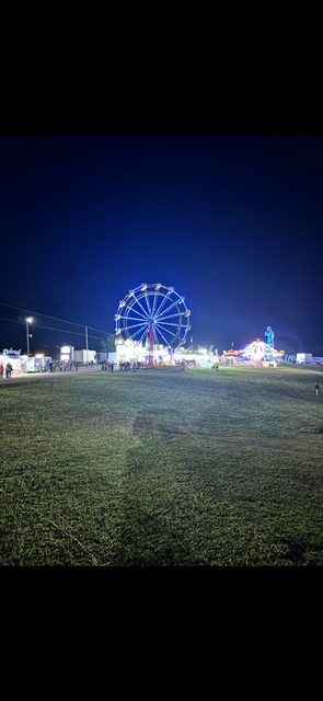 IMG_4662.PNG