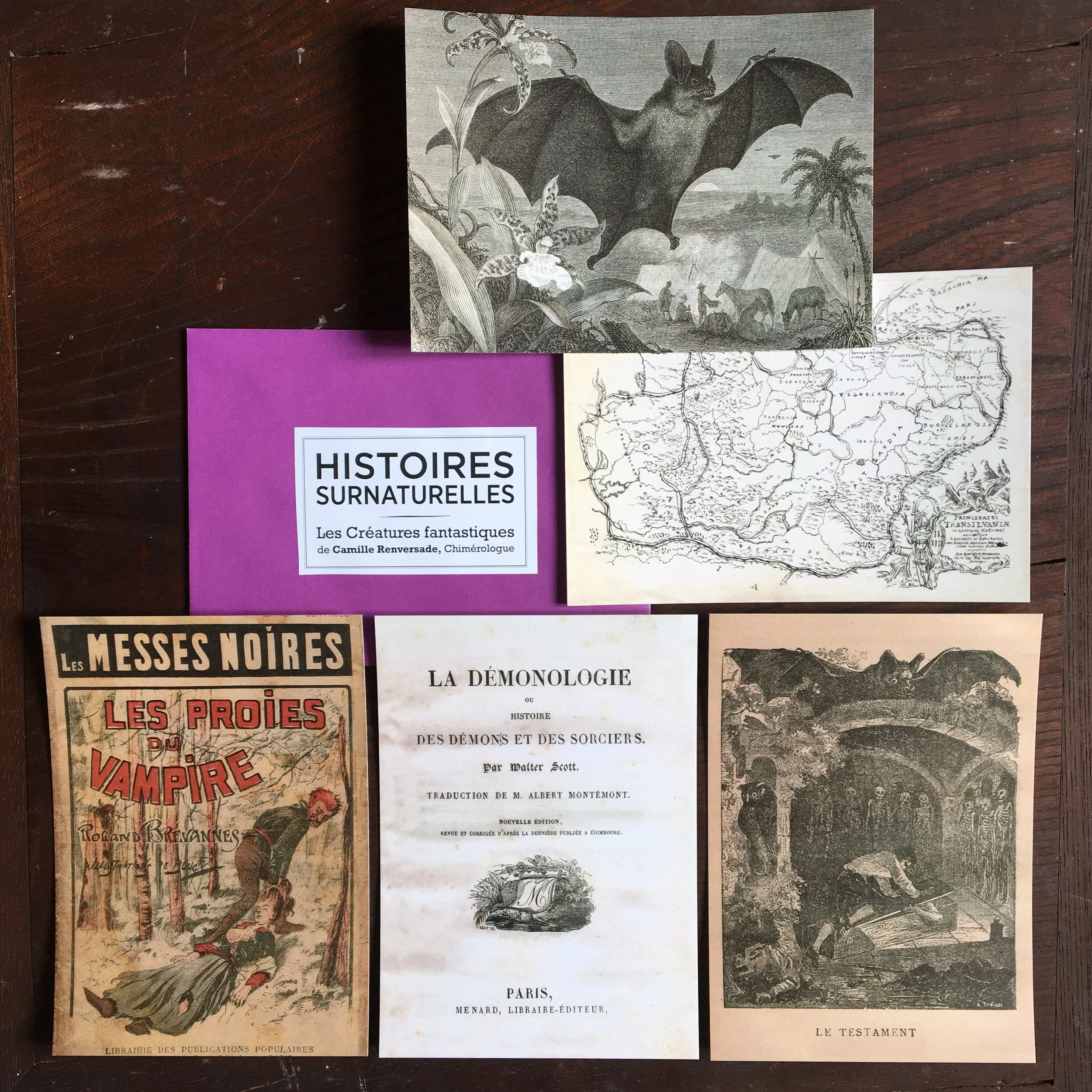 Lot vampire N°3.JPG