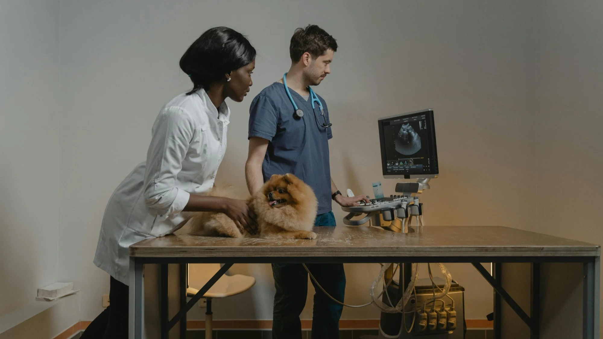 From Clinic to Lab: Ensuring Timely Veterinary Sample Delivery with Medical Courier Services