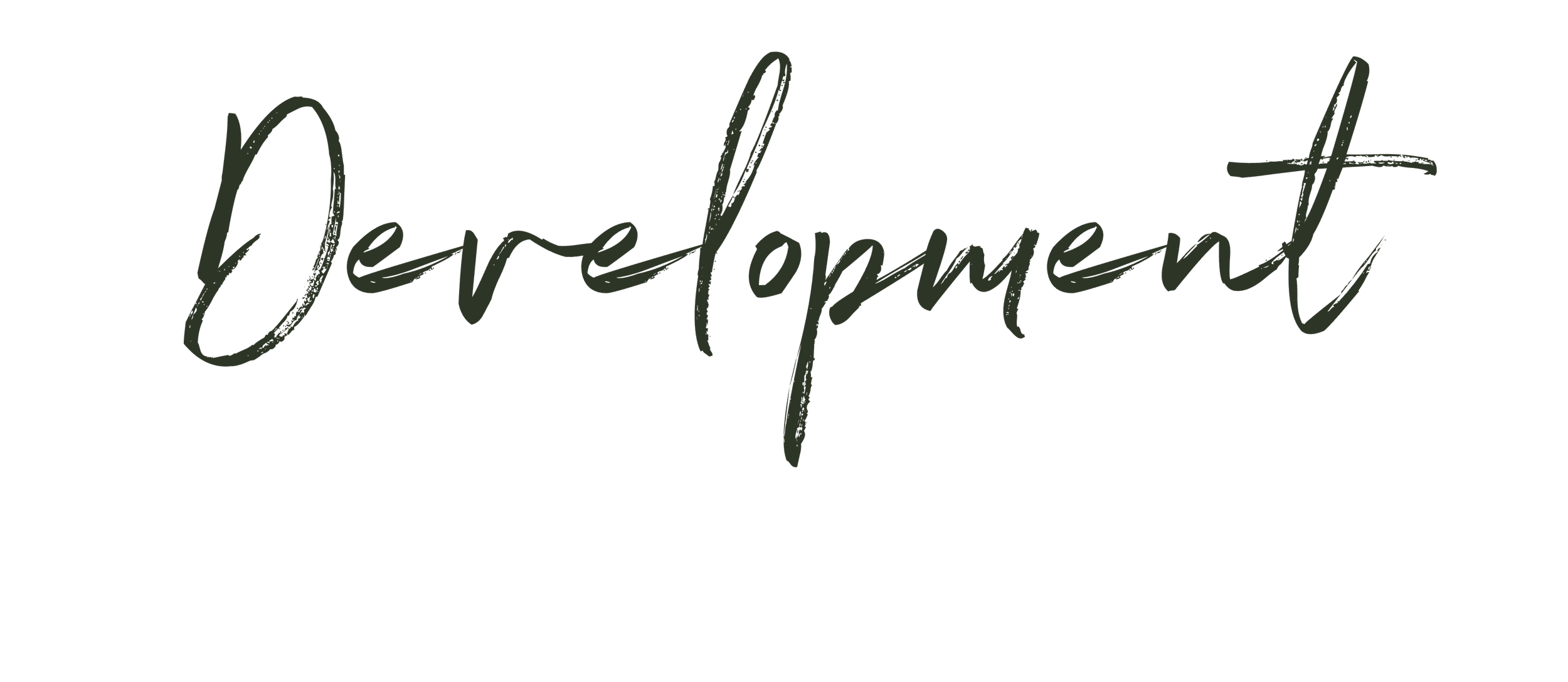 The word 'Development' written in modern, cursive script with a dark green color on a transparent background.
