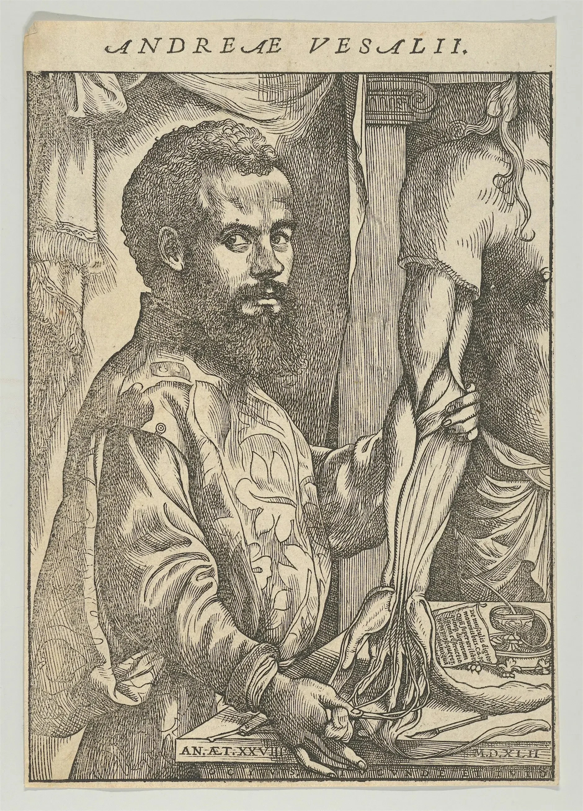 Printed Portraits and the Scientific Revolution