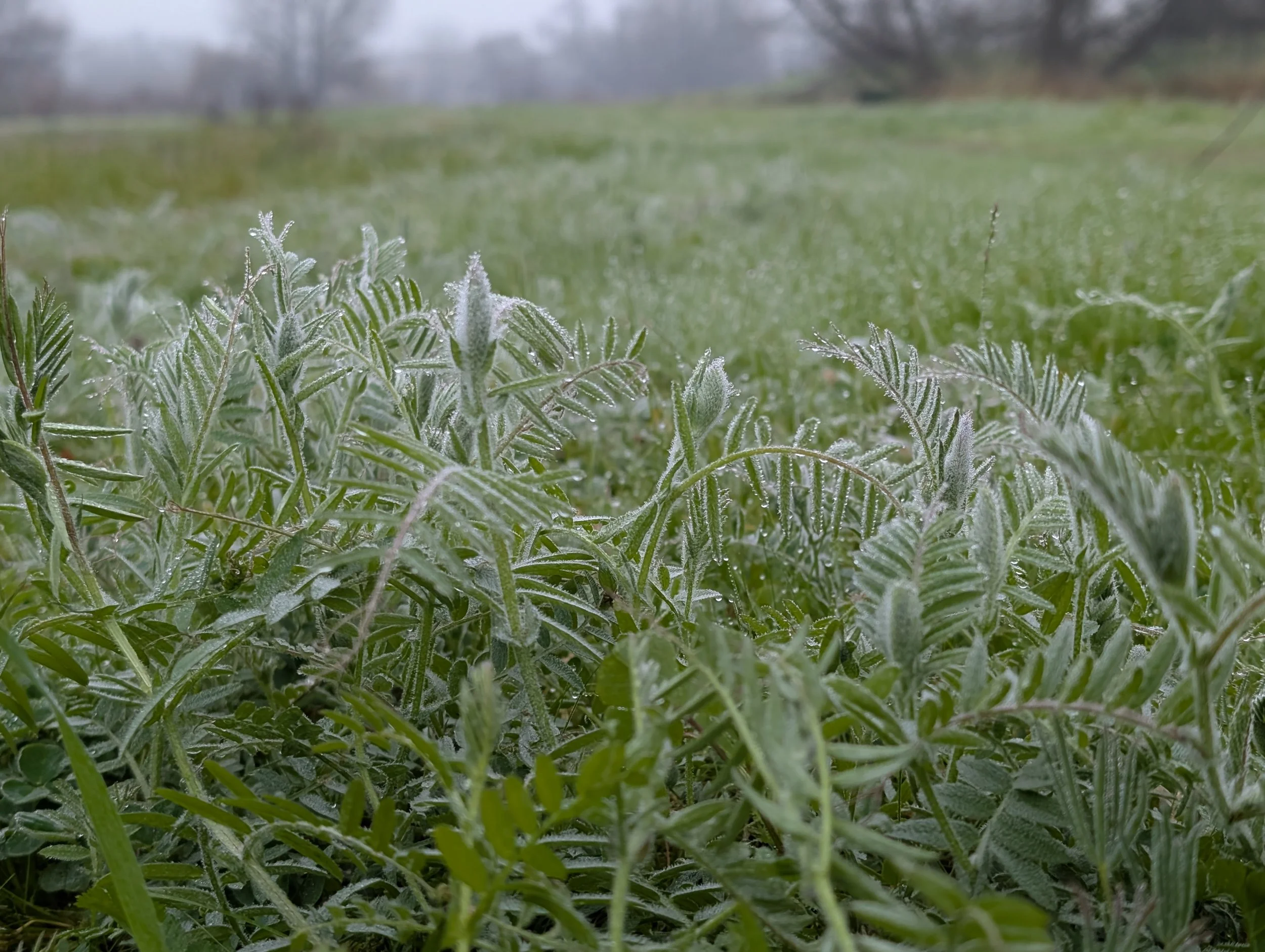 Endurance Sport Is Primal