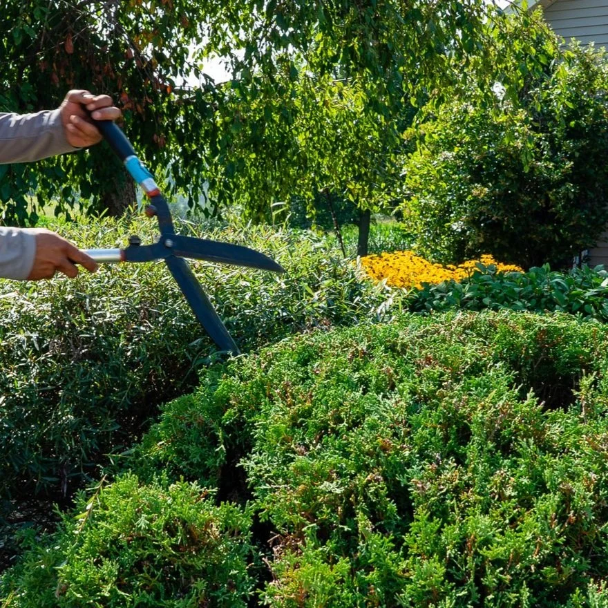 Landscape Maintenance