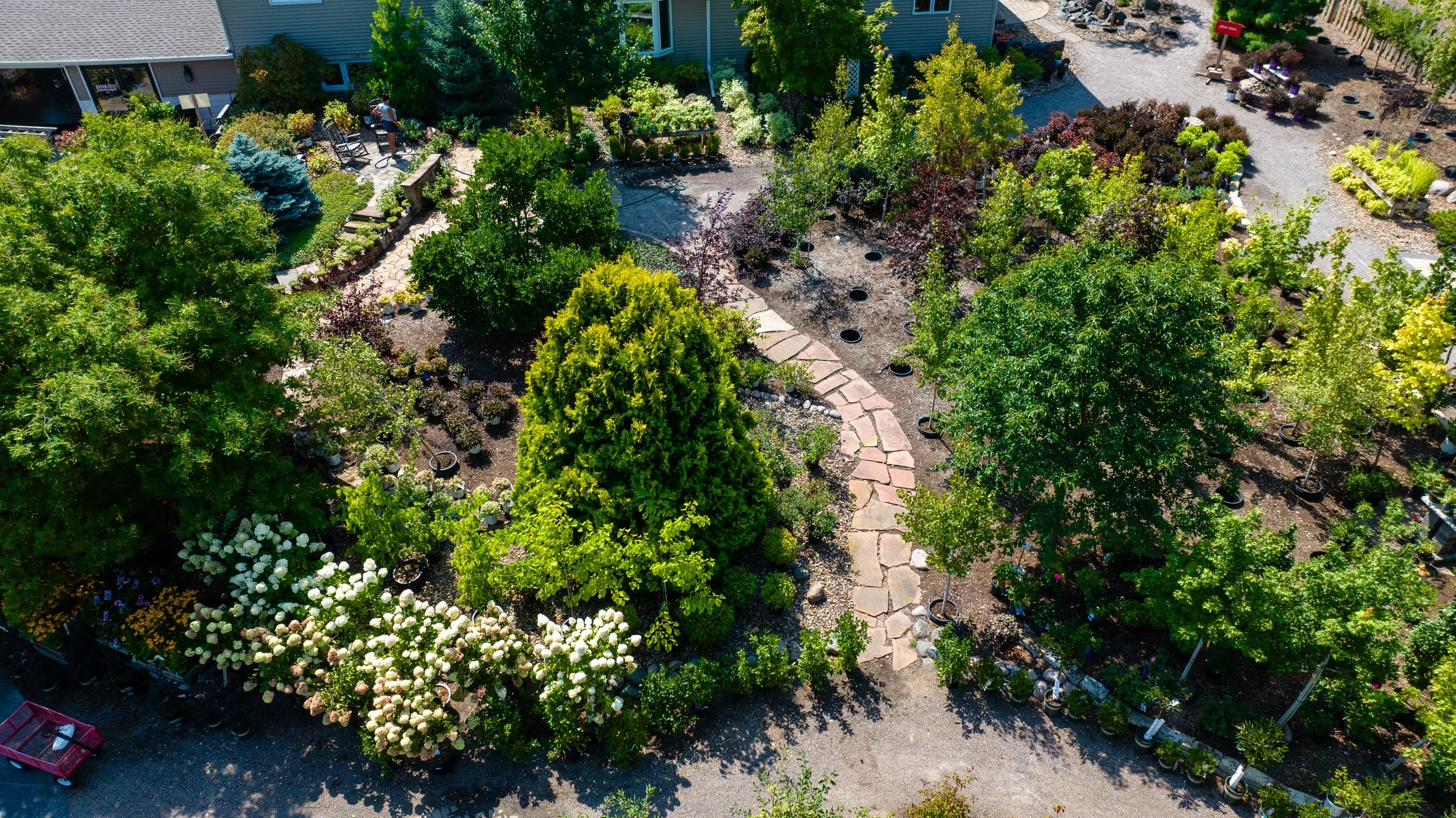 plants at garden center in holmen WI area