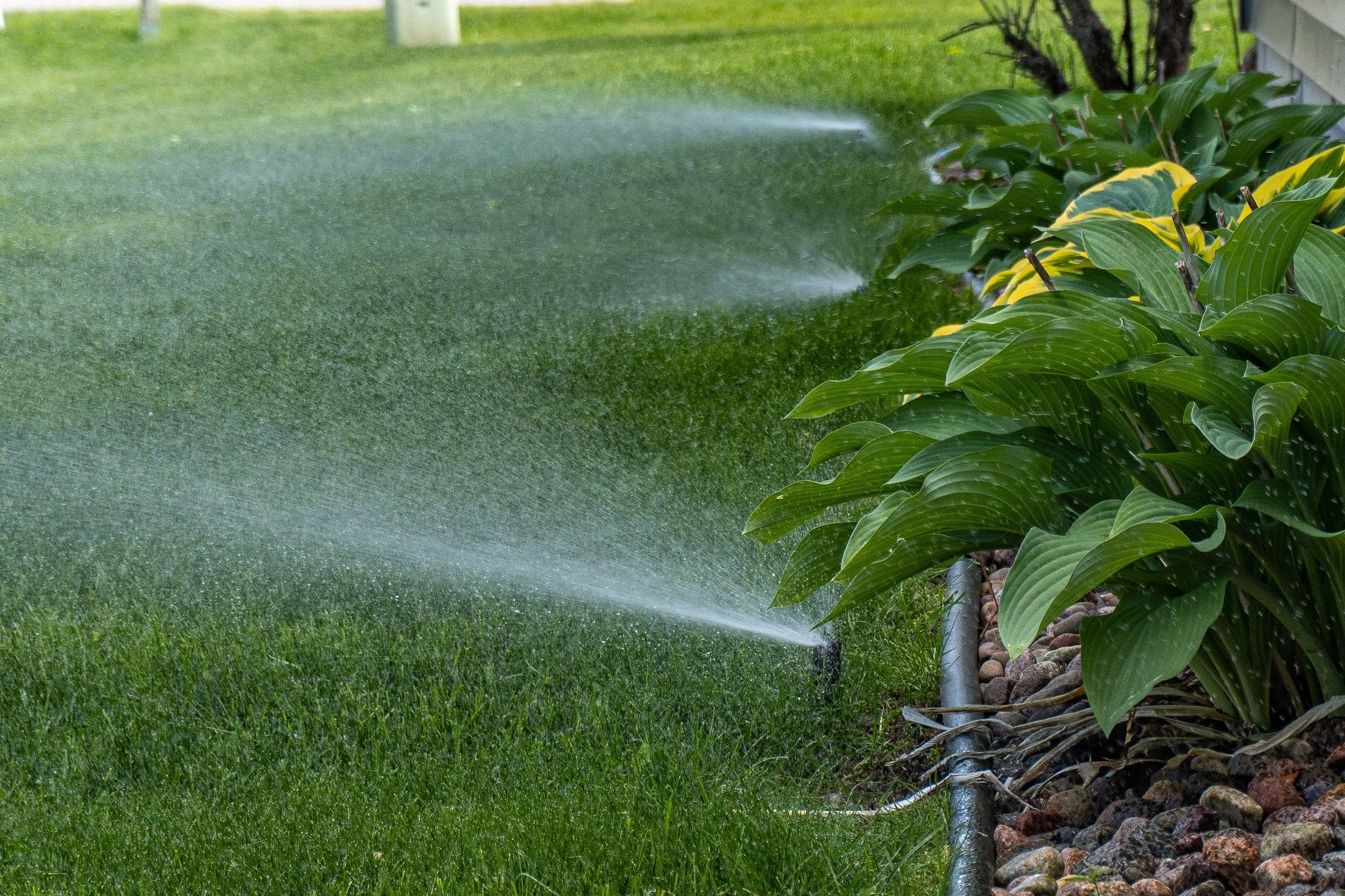 Irrigation Maintenance