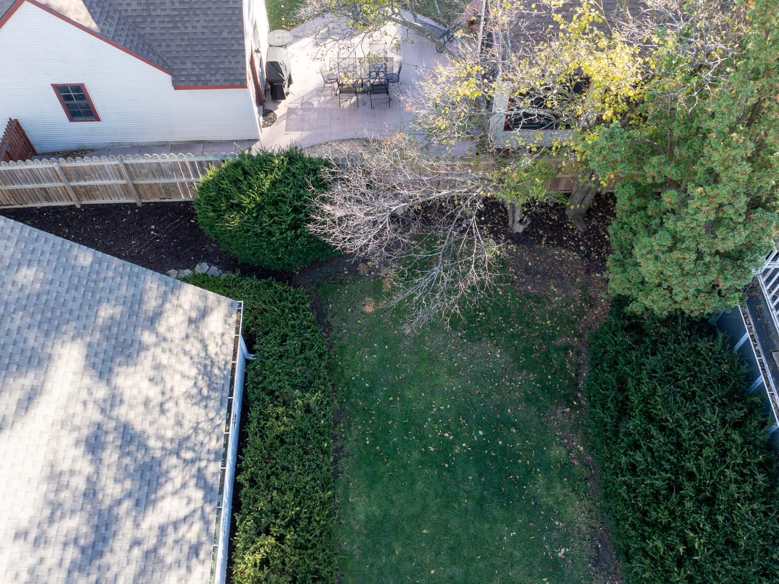 Backyard after RCL work