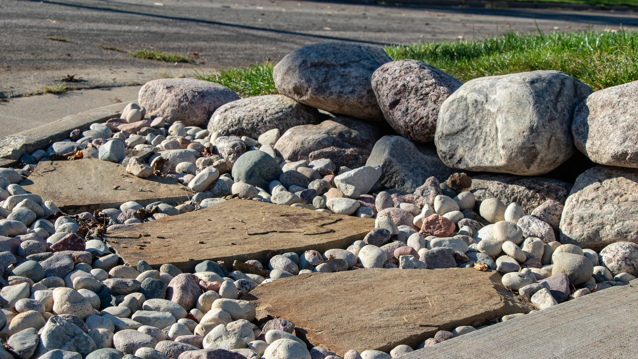 2025-09-25 2823 Cass Street After-14.jpg