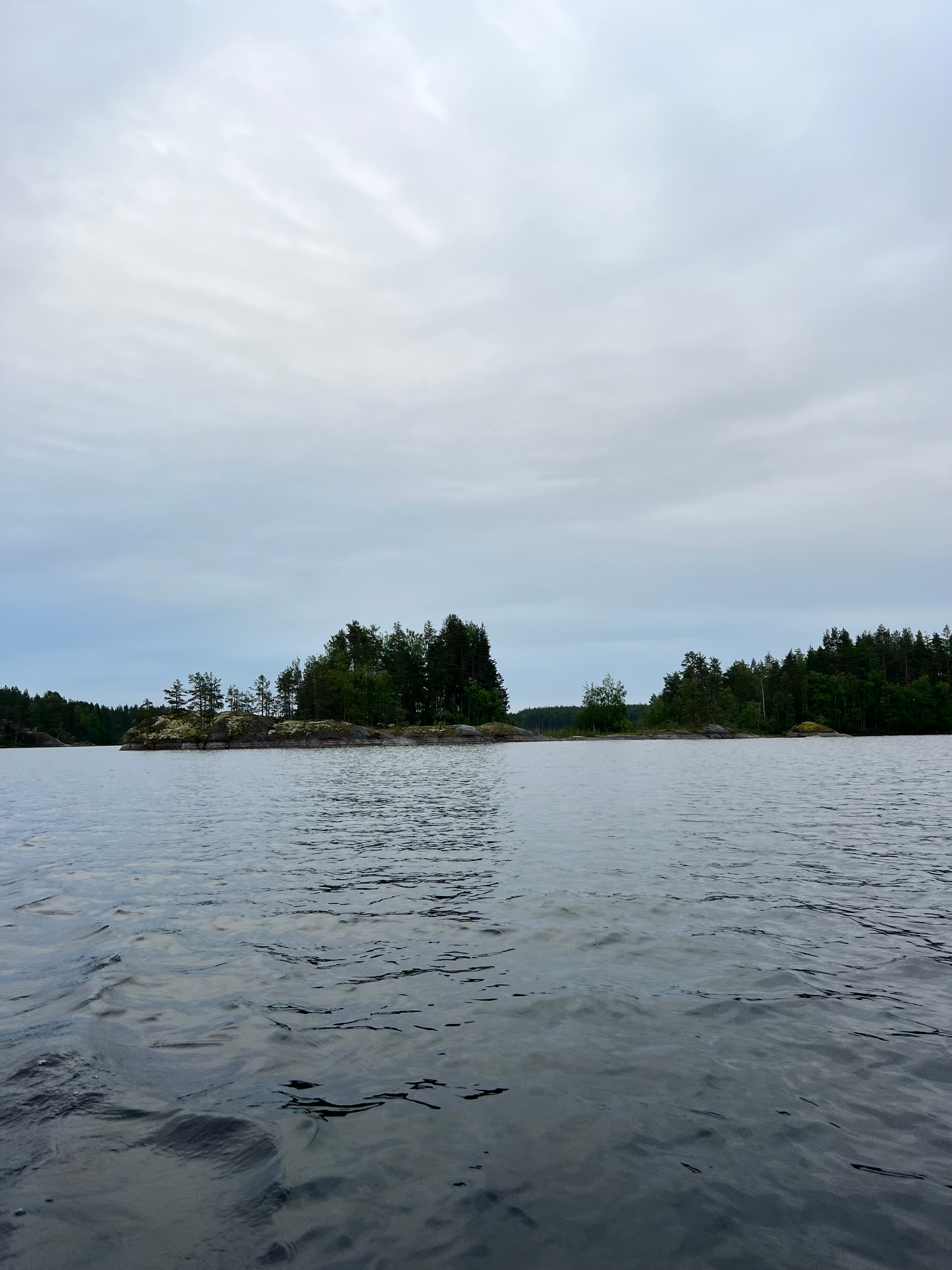 seal excursion in Saimaa