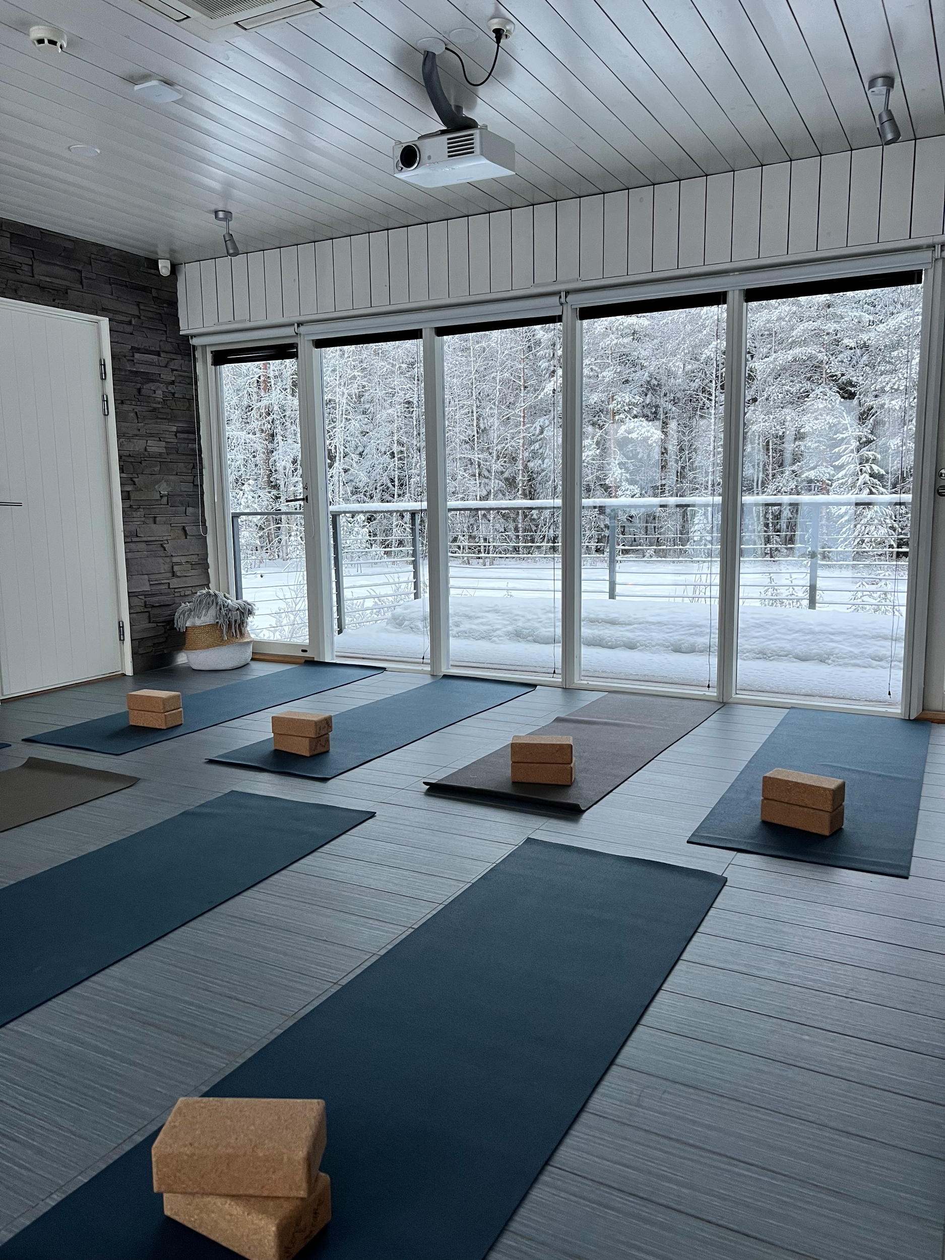hatha yoga