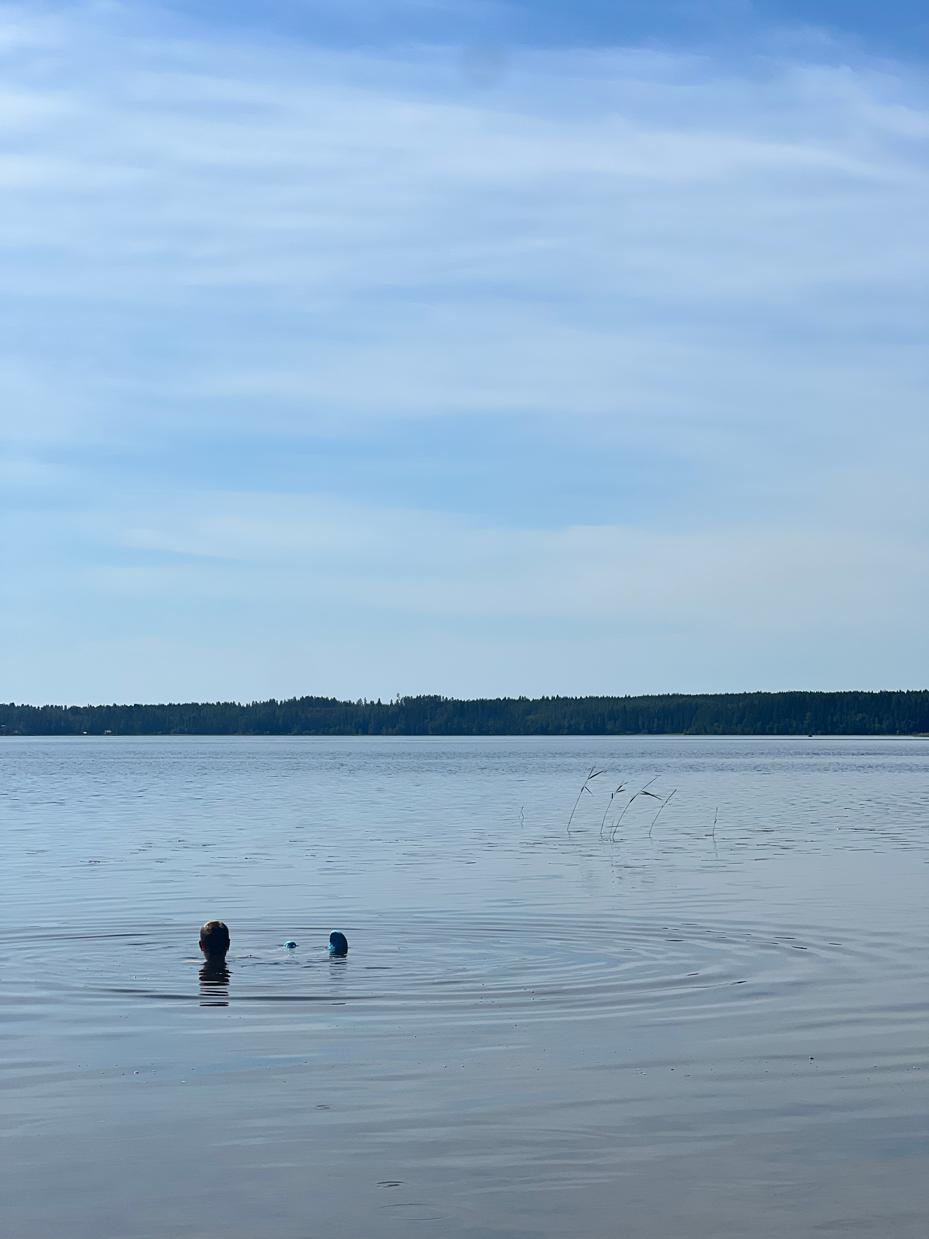 floating in the lake