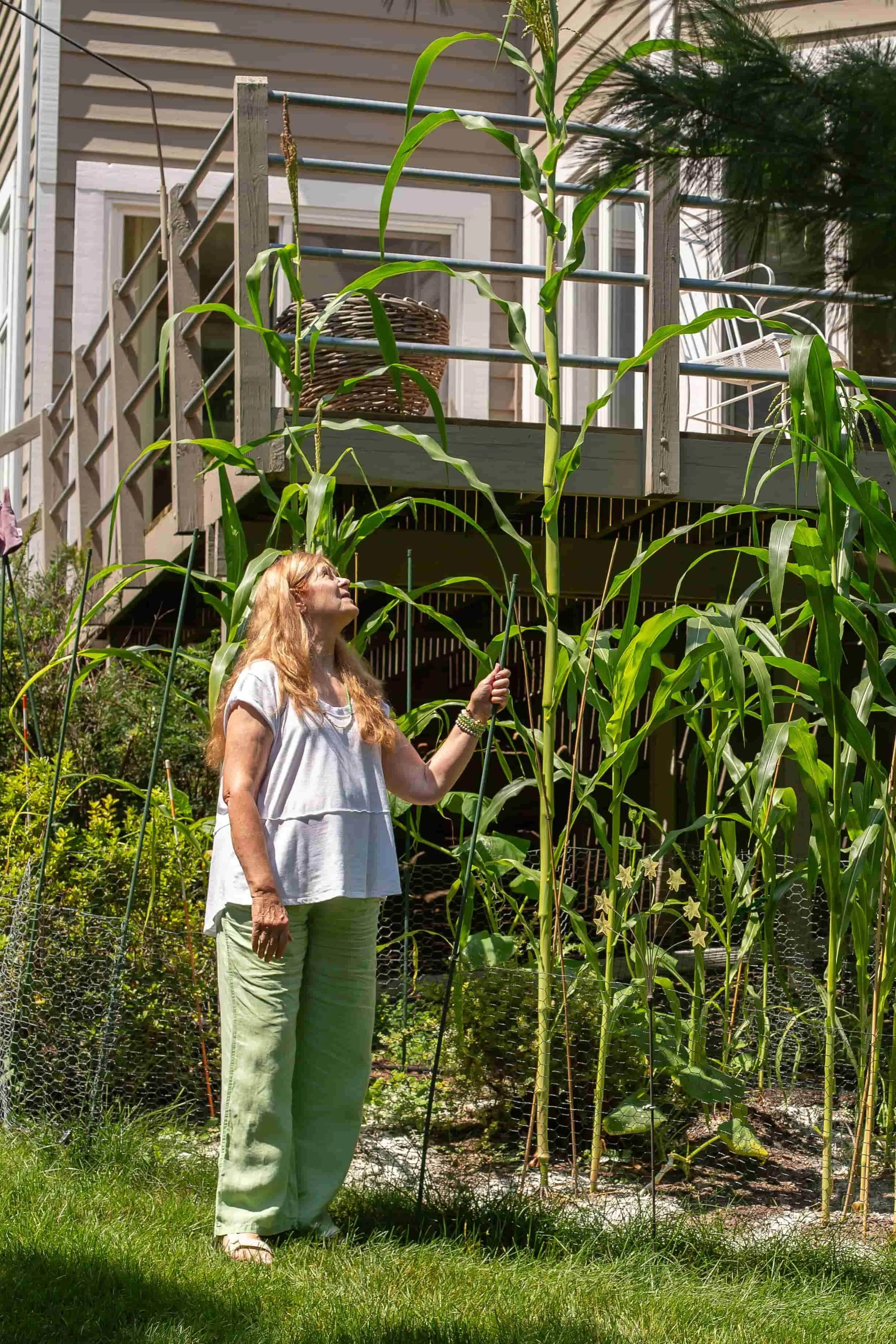 Suzan McVicker Therapist at Psychology Associates Madison WI