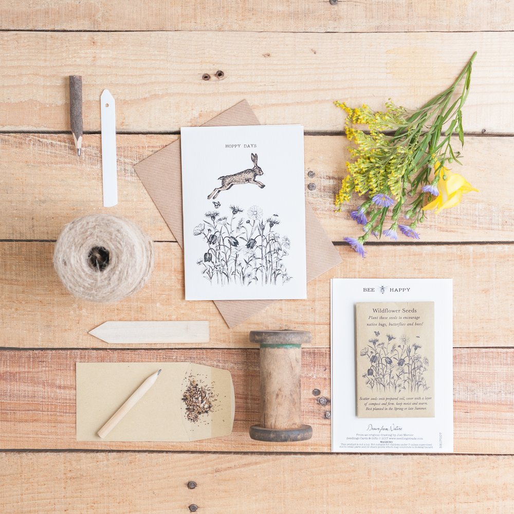  ‘Flatlay’ of greeting cards photographed on rustic planked surface and styled with natural props 