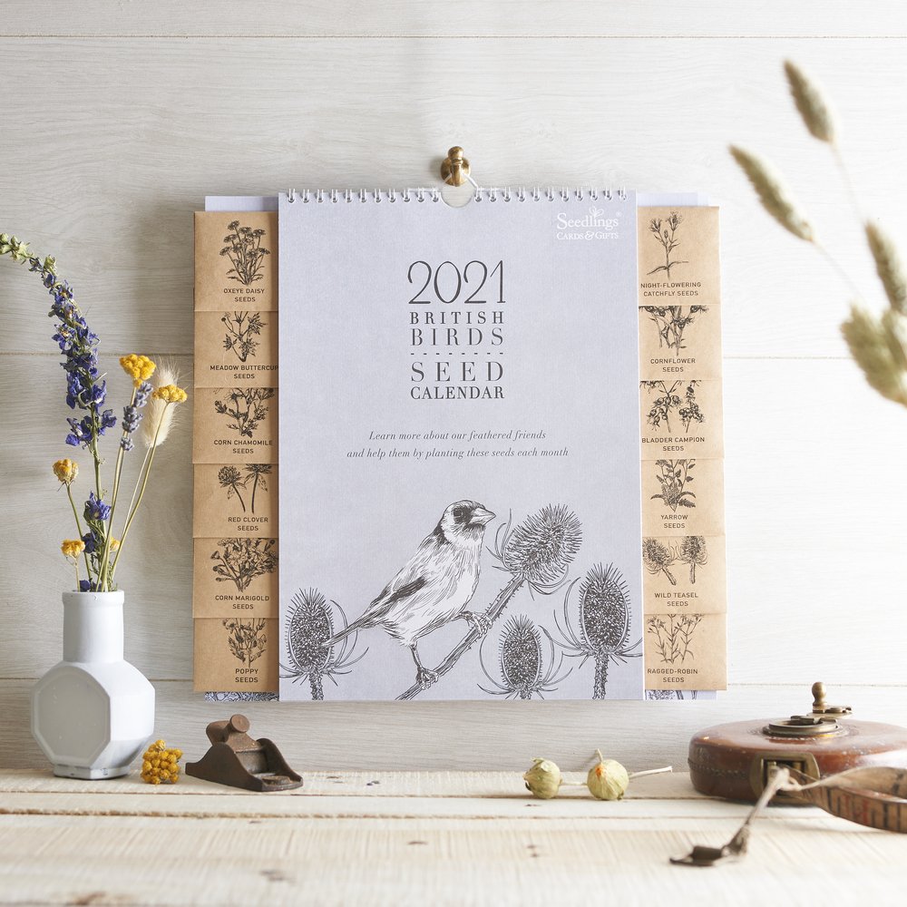  British Seed calendar photographed with vintage and wildflower props on rustic wooden slatted surface 