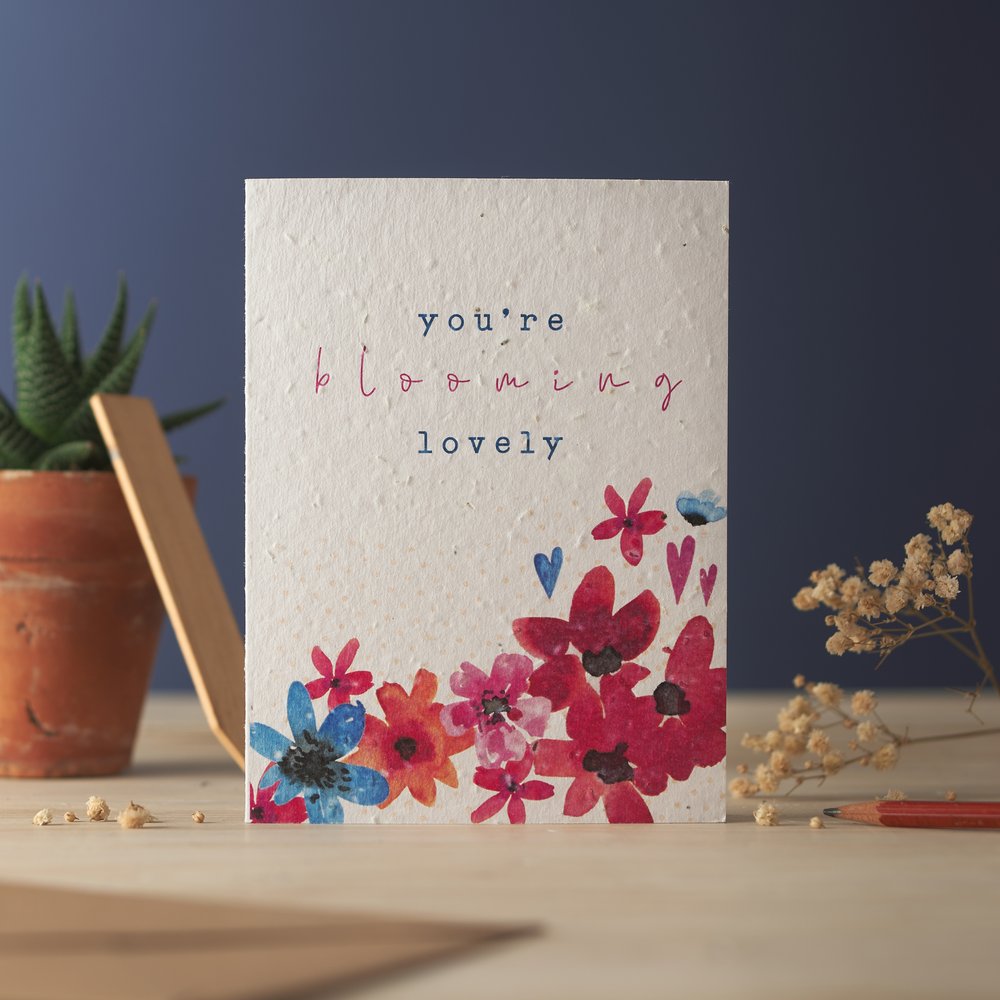  Greeting card with floral design and seeds embedded within card photographed against blue backdrop 