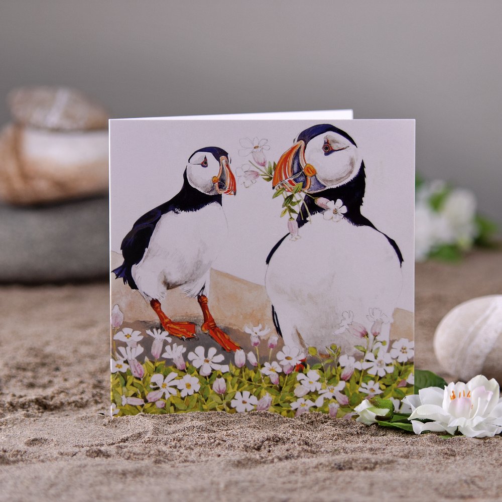  Coastal themed greeting card with puffin illustrations photographed in studio in scene reminiscent of beach with sand and pebbles 